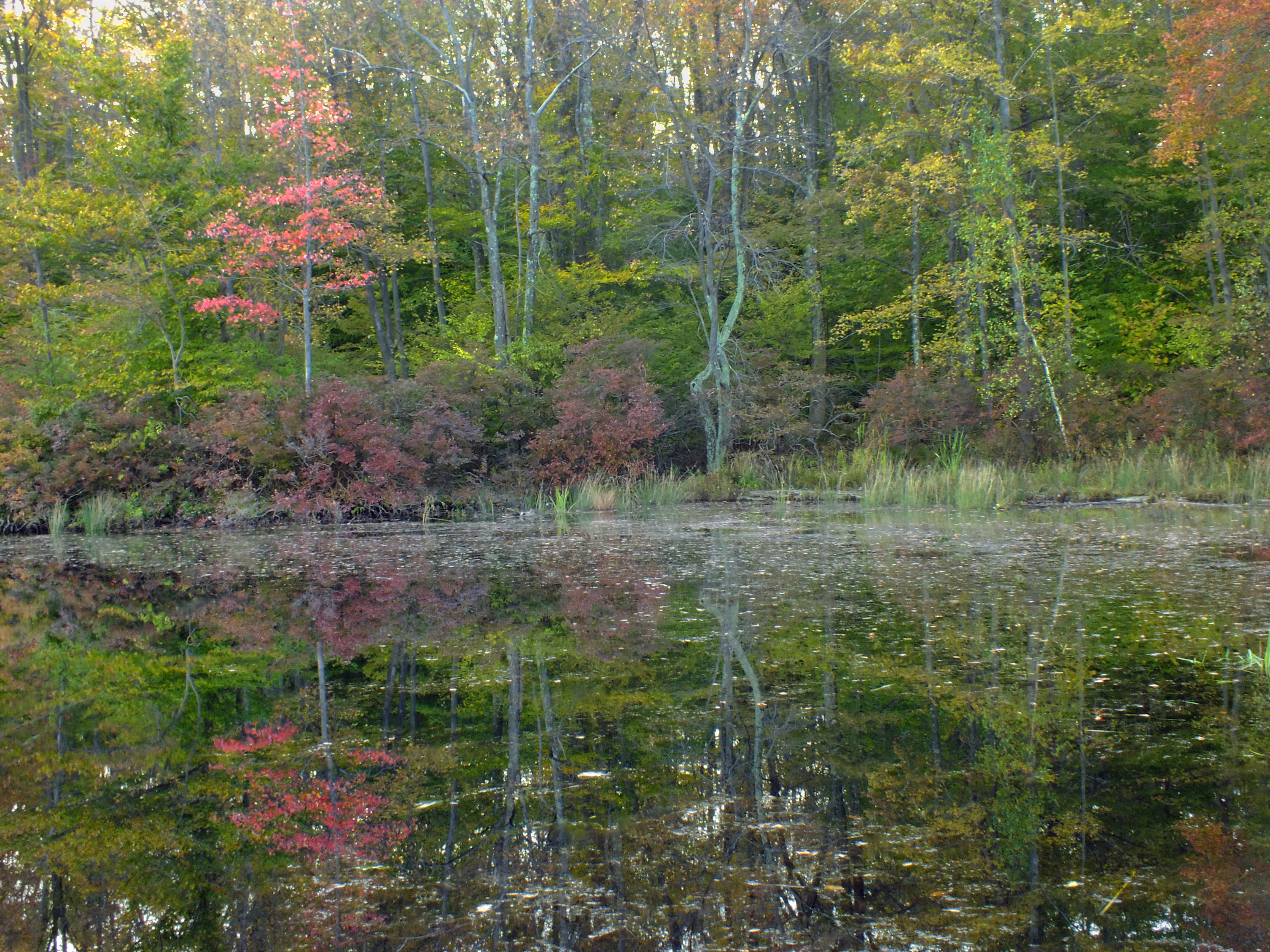 Promised Land State Park