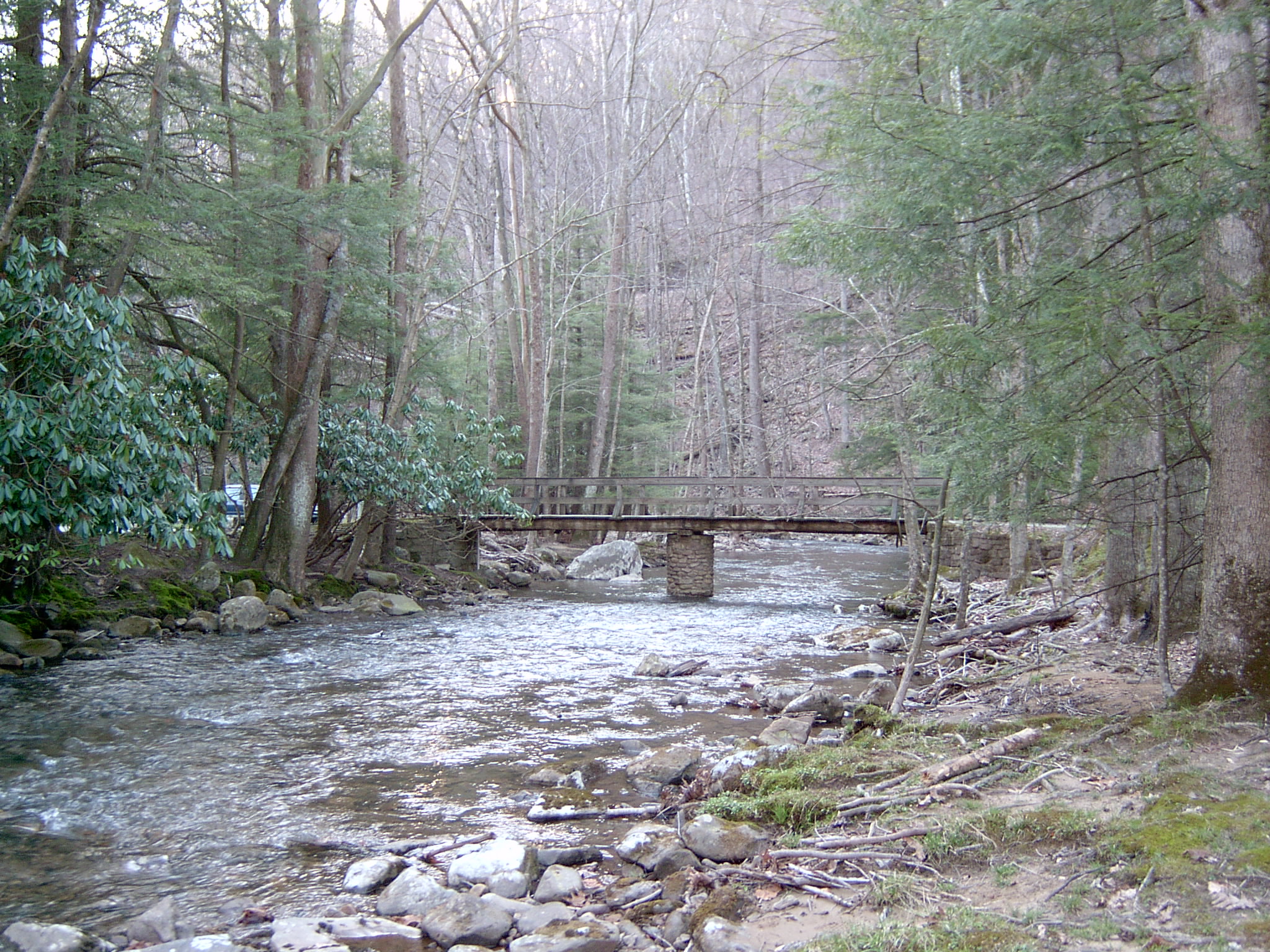 Wikimedia Commons