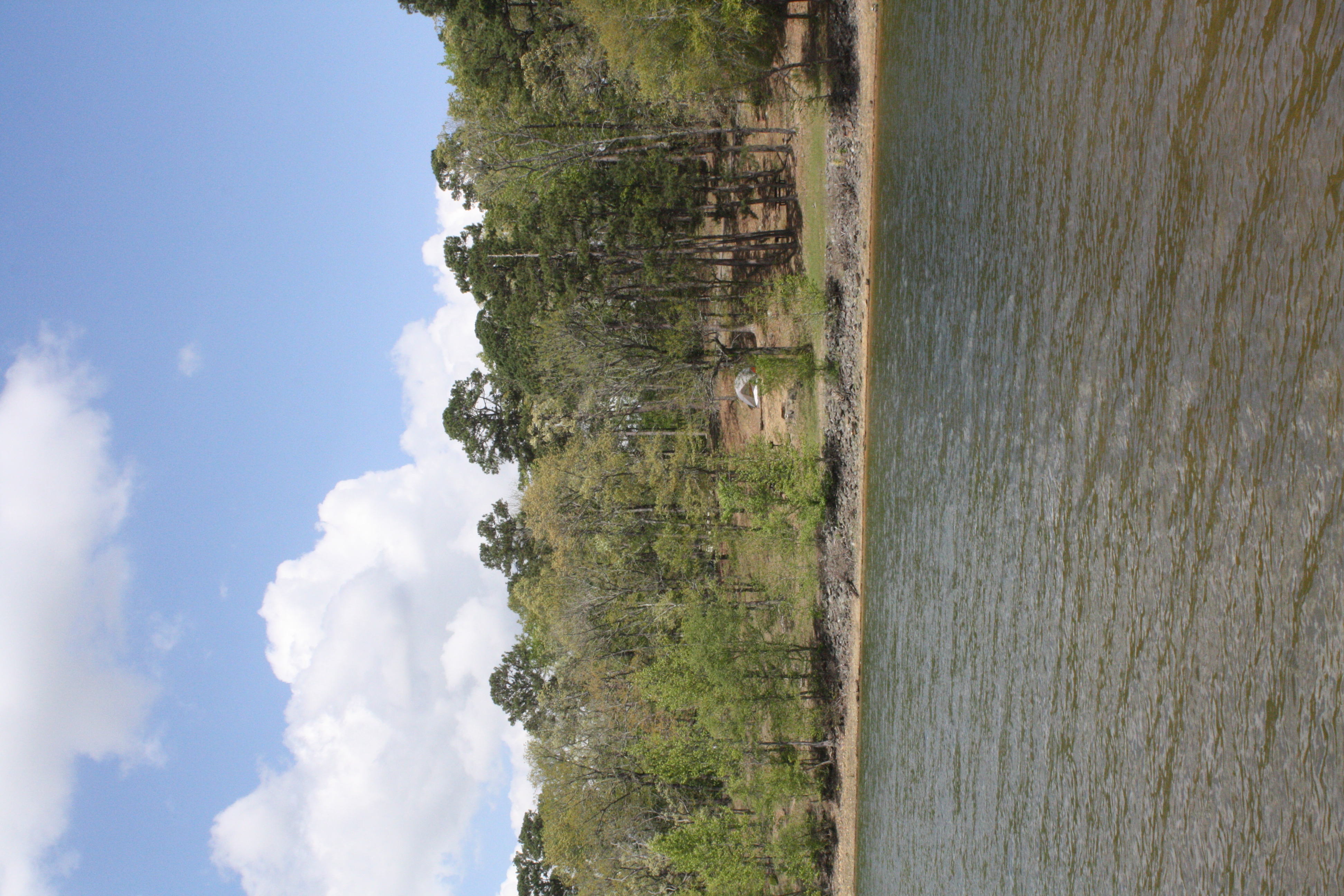 Daisy State Park