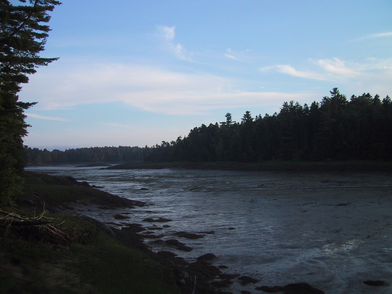 Cobscook Bay Campground