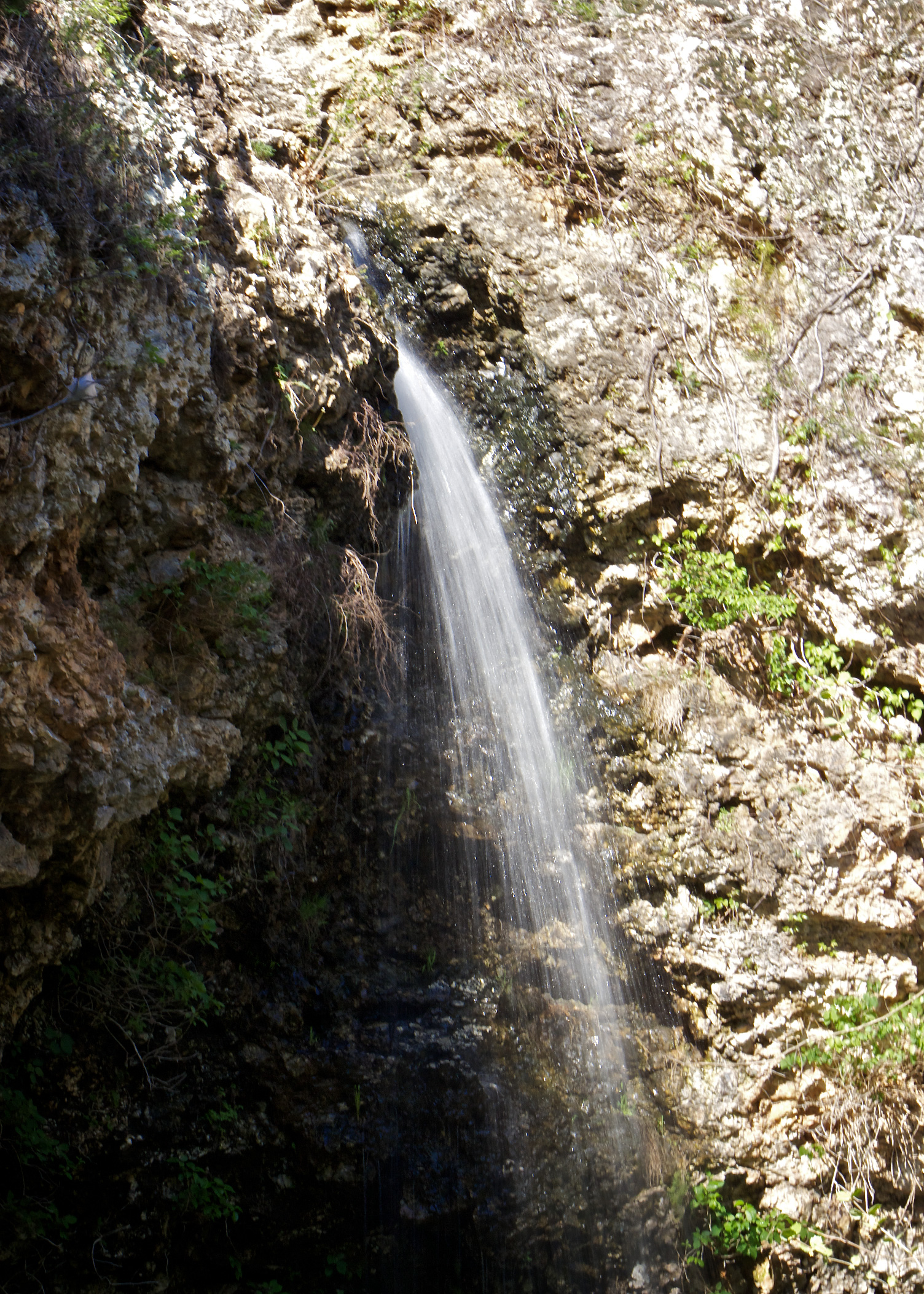Wikimedia Commons