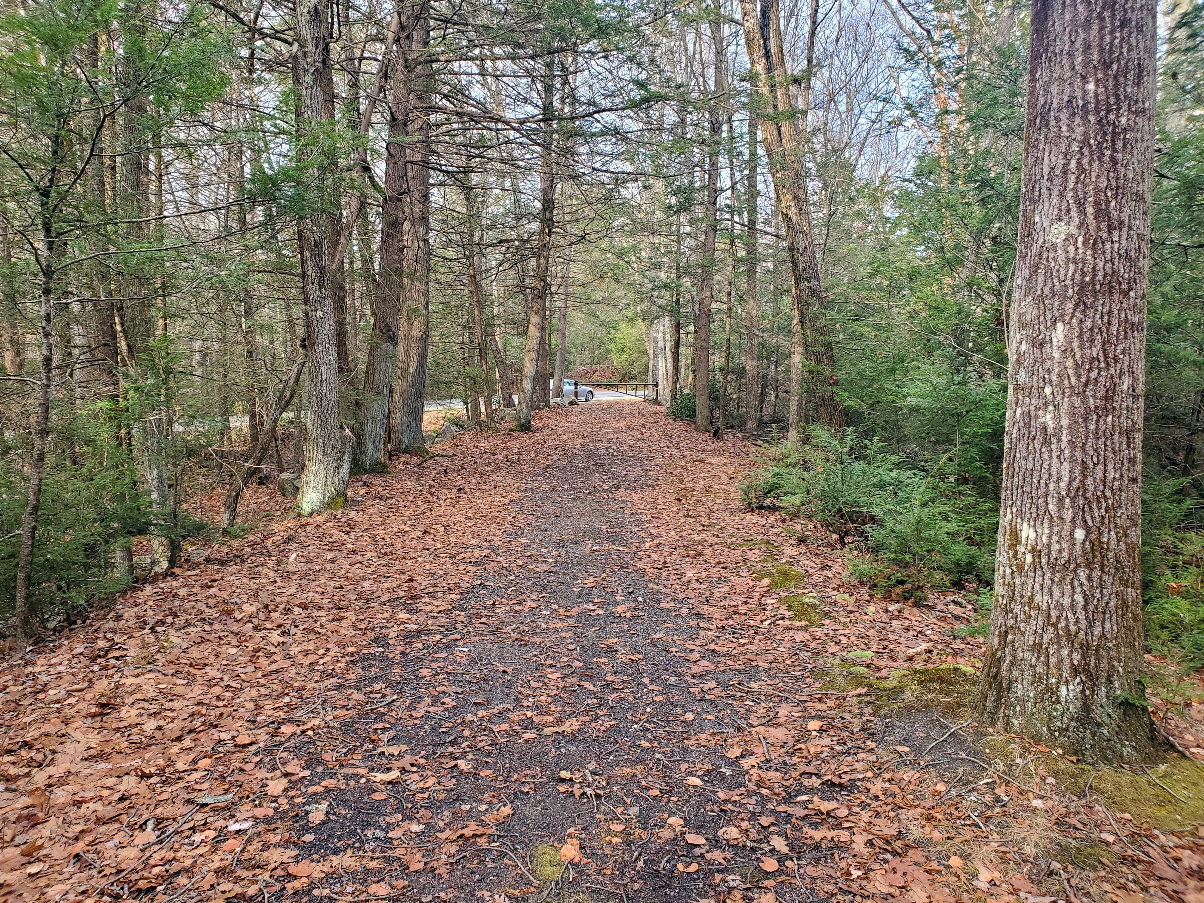 Douglas State Forest