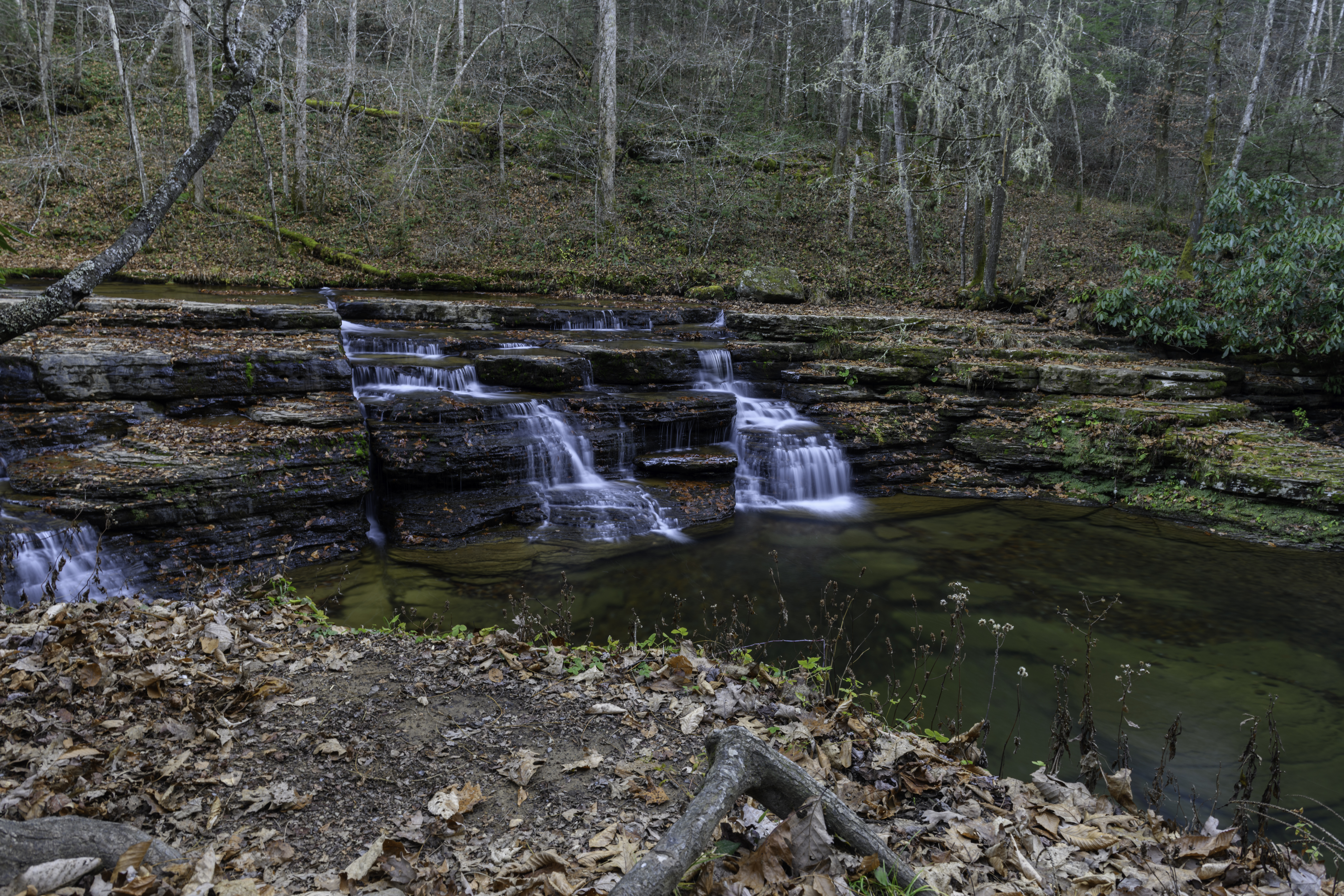 Camp Creek State Park And Forest Campground