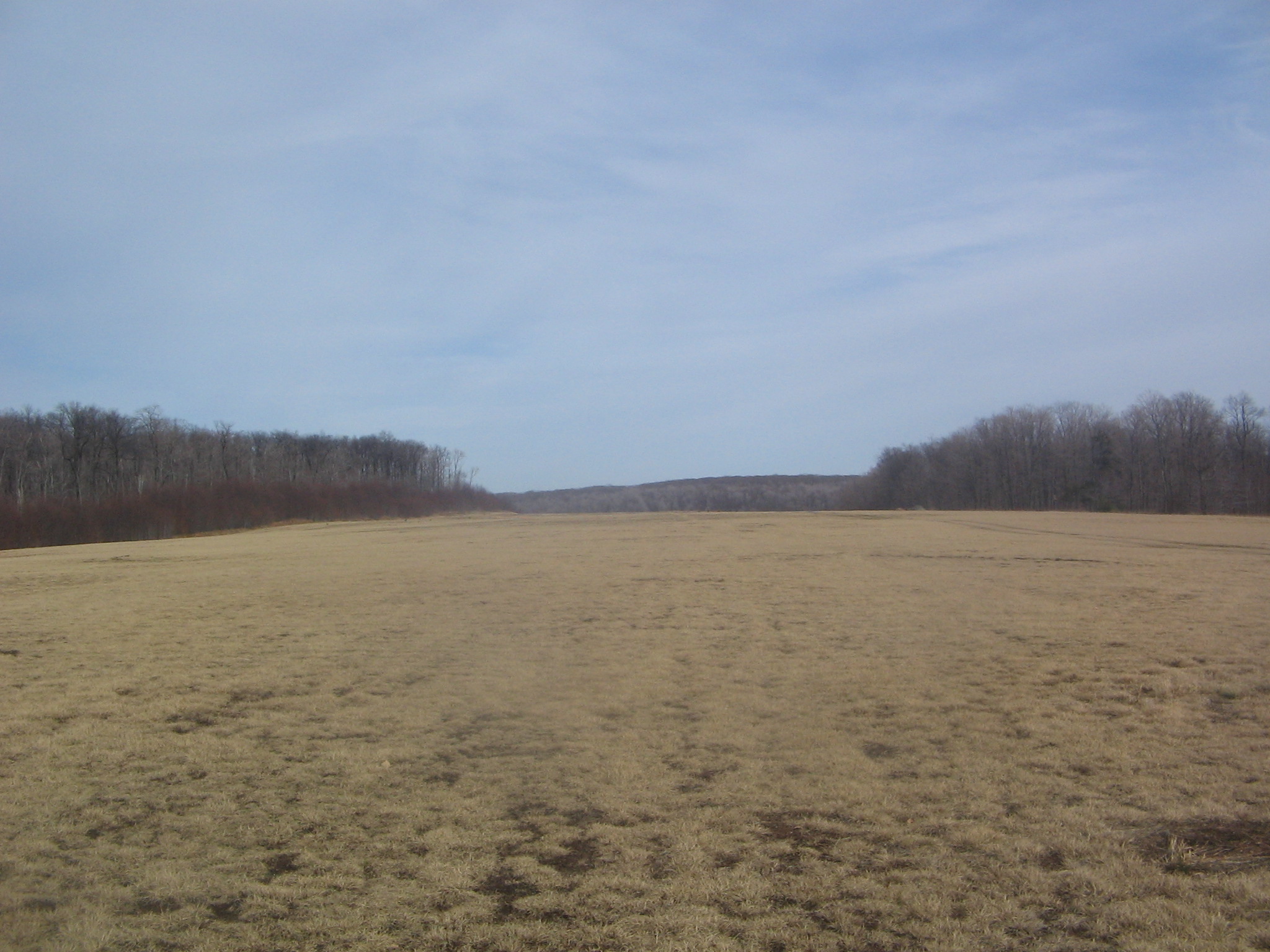 Cherry Springs State Park
