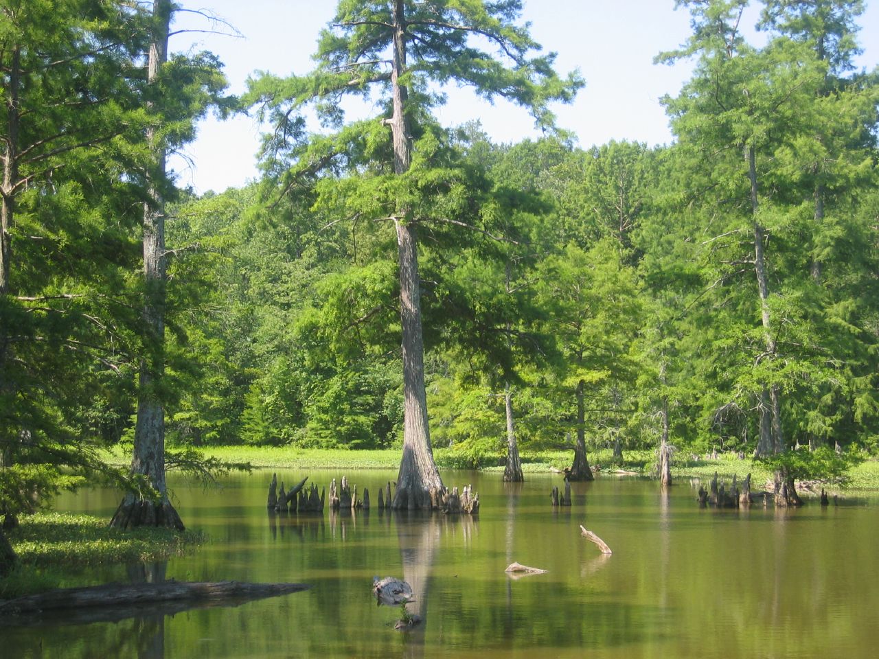 Leroy Percy Campground