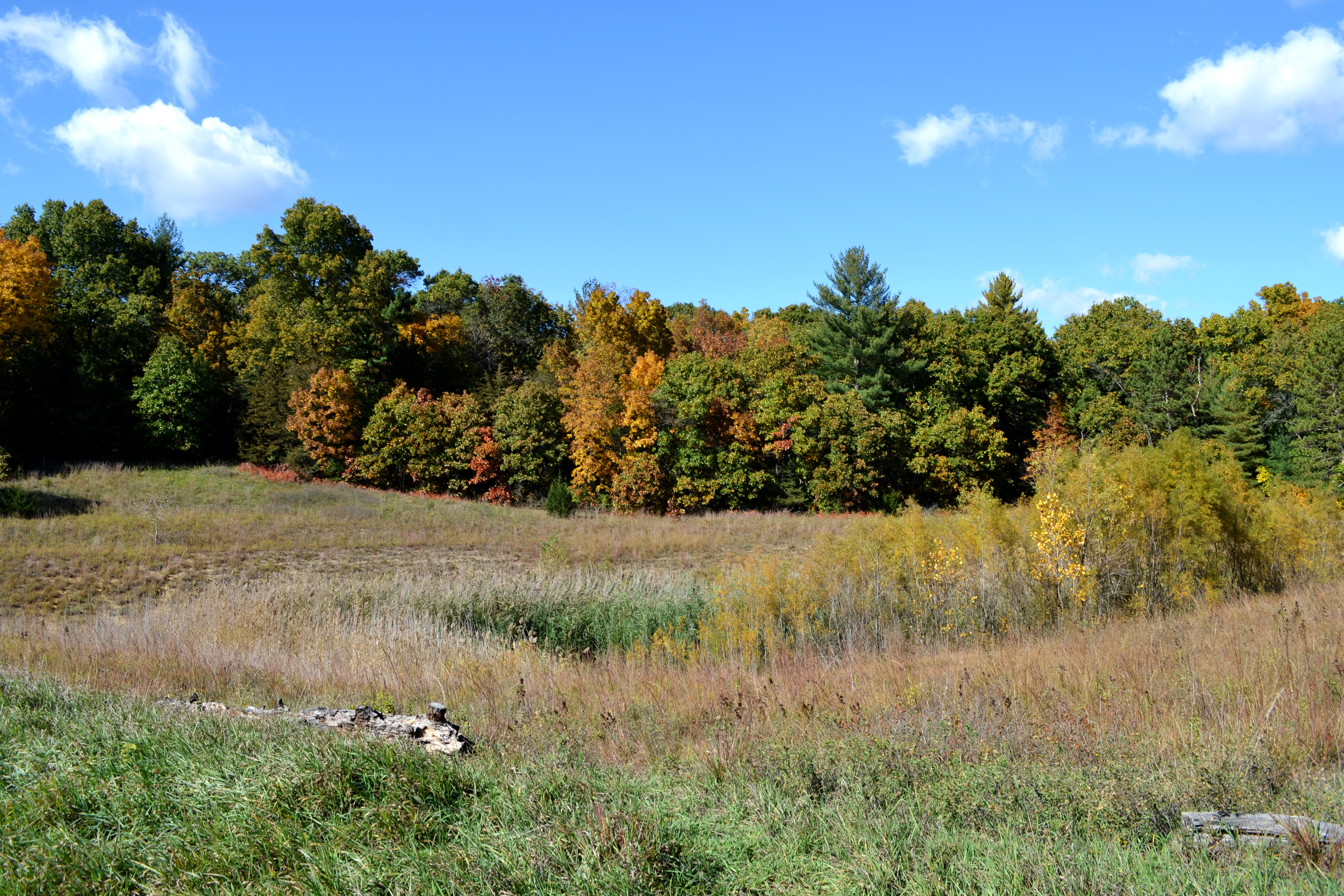 Sand Ridge State Forest Campground