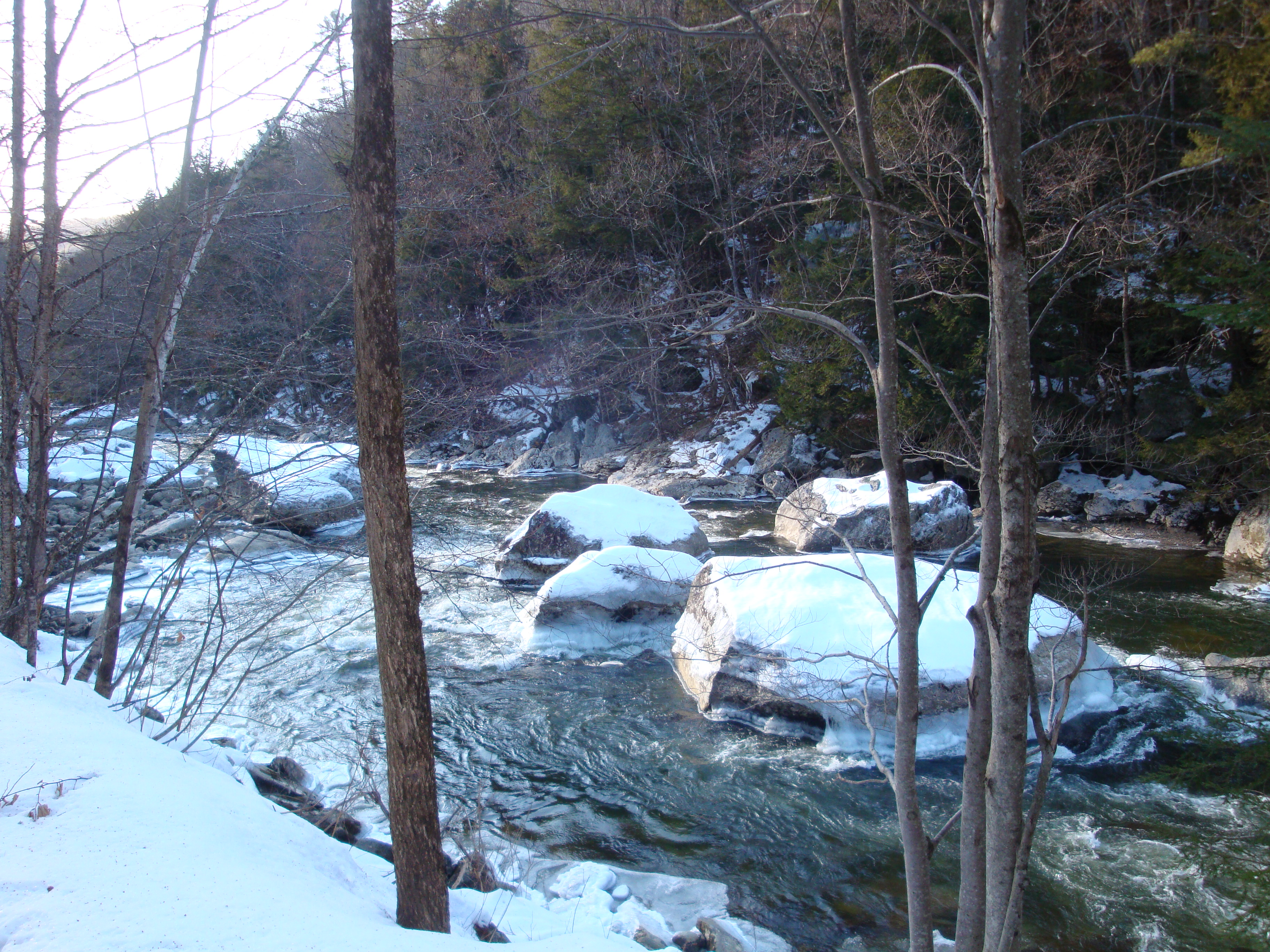 Jamaica State Park