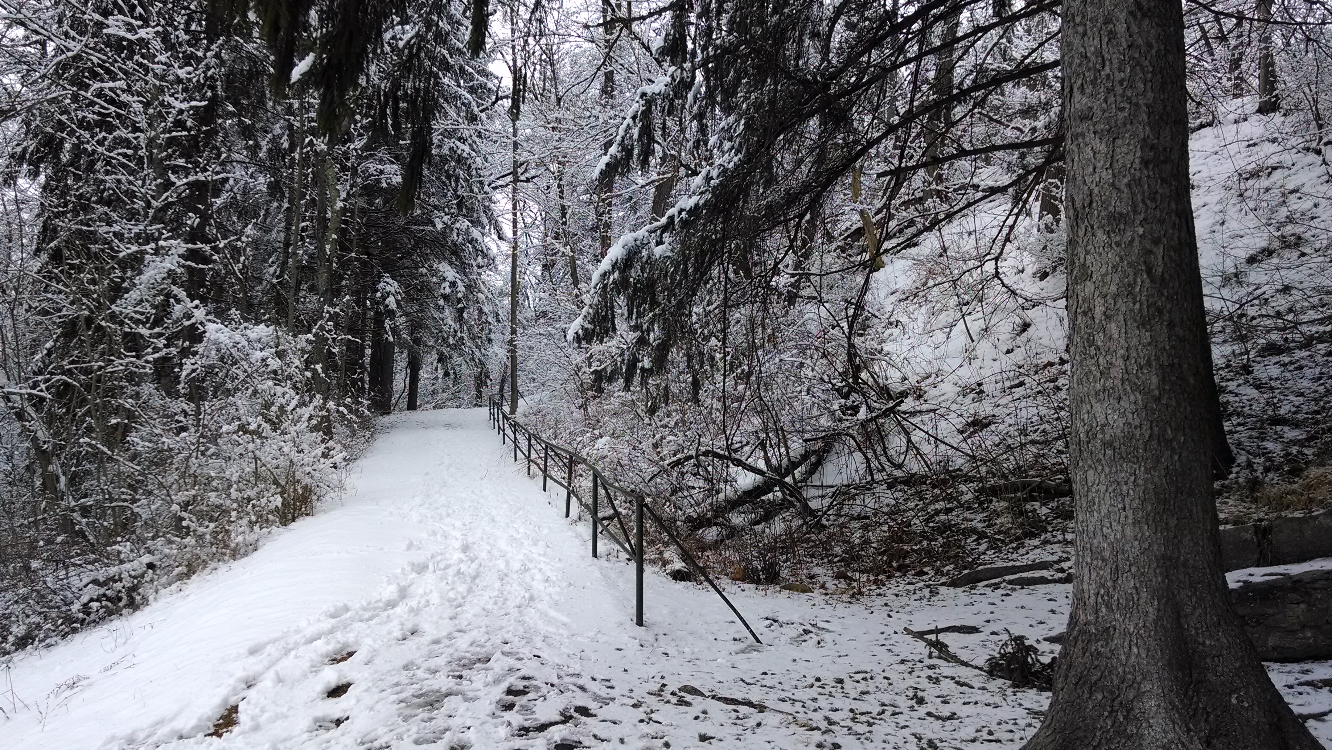 Caledonia State Park