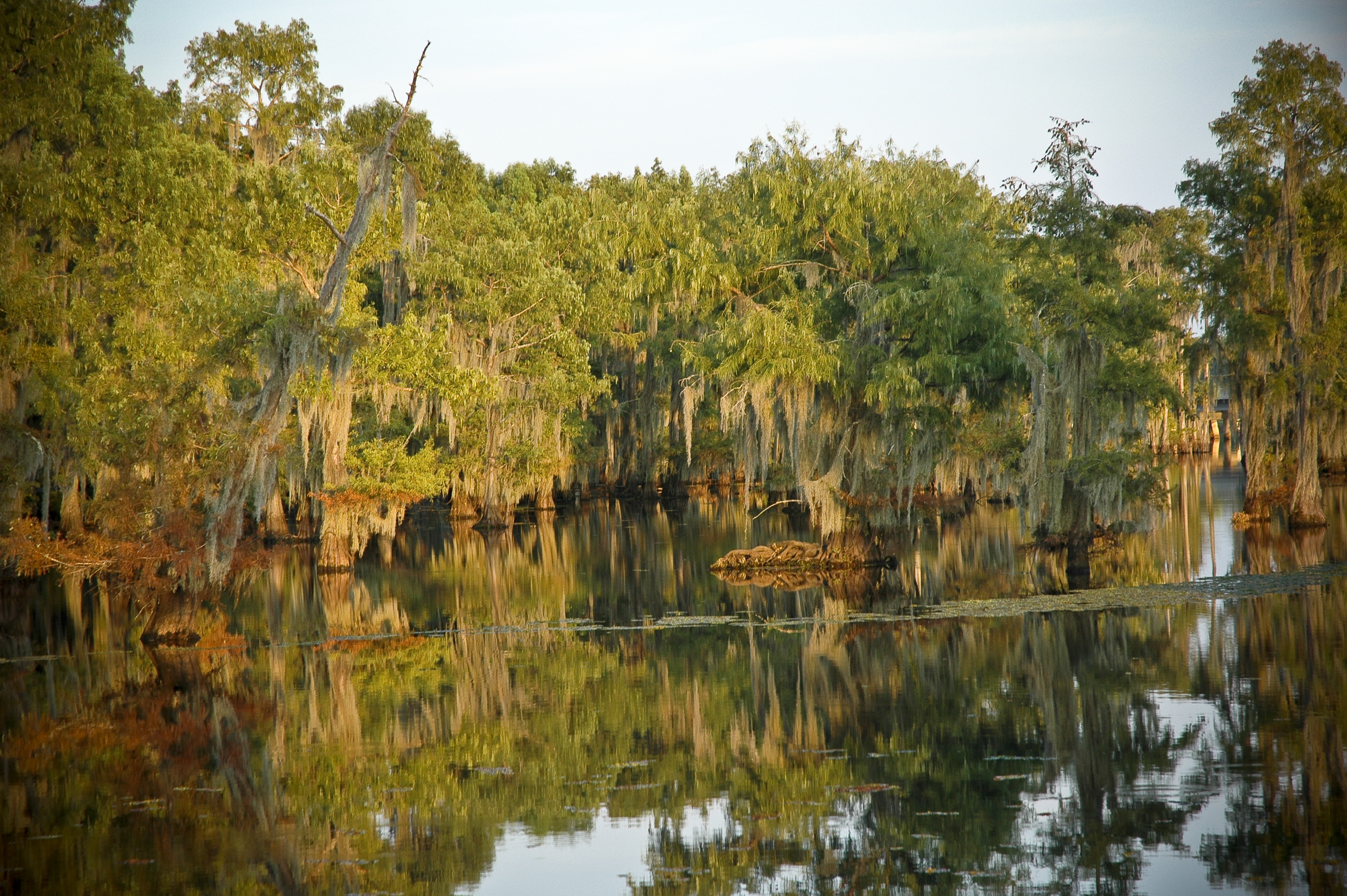 Lake Bistineau Campground