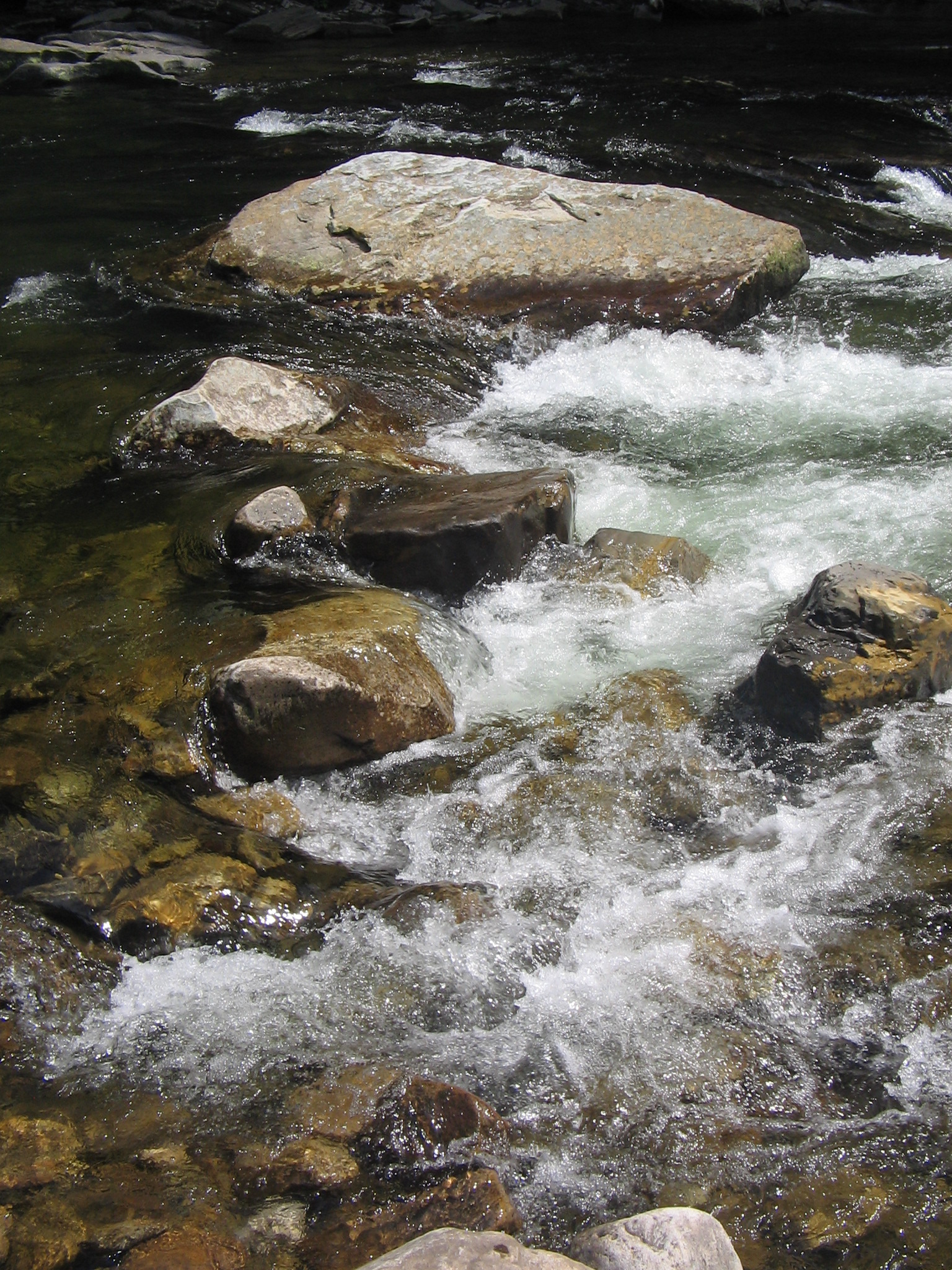 Wikimedia Commons