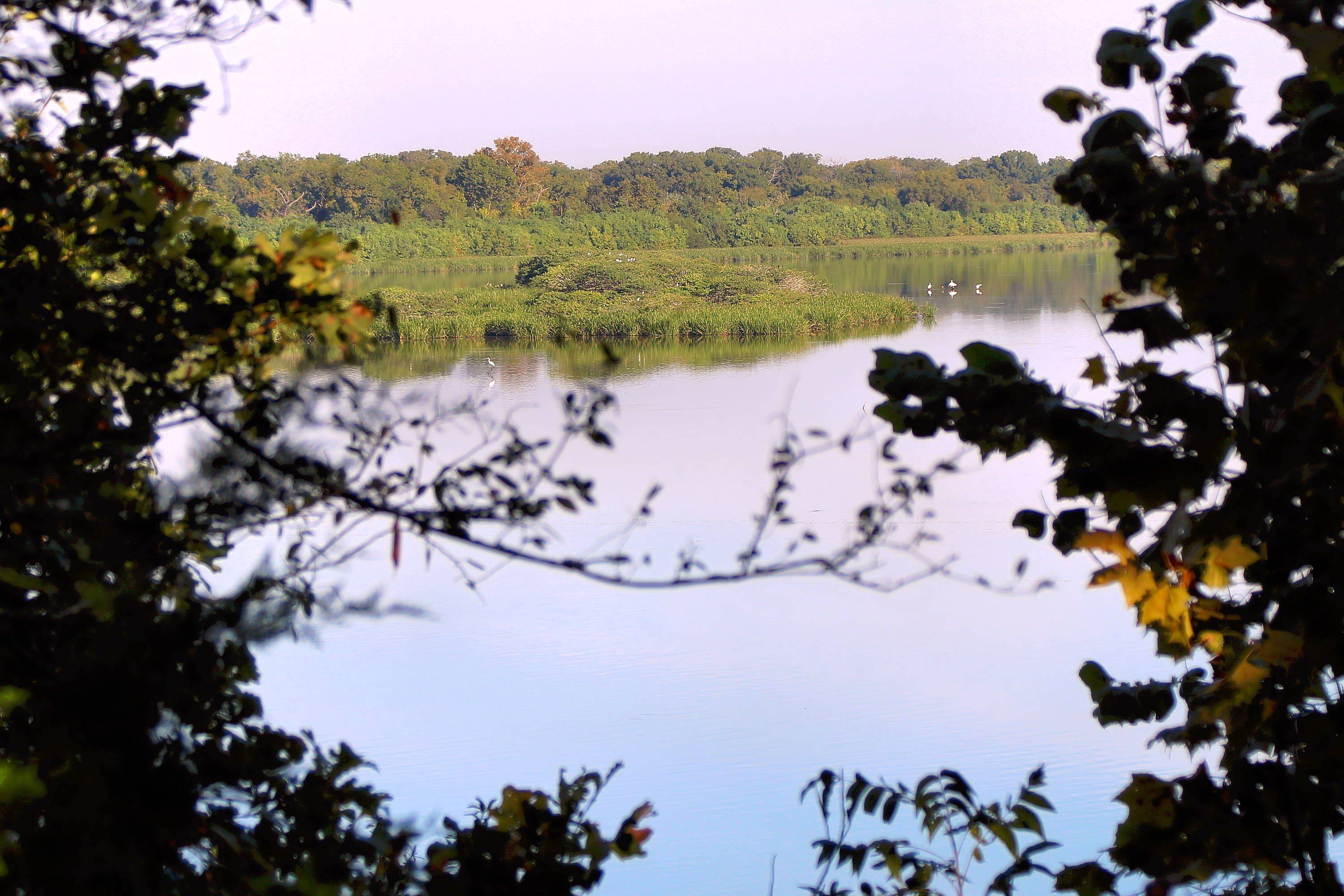 Fort Parker State Park