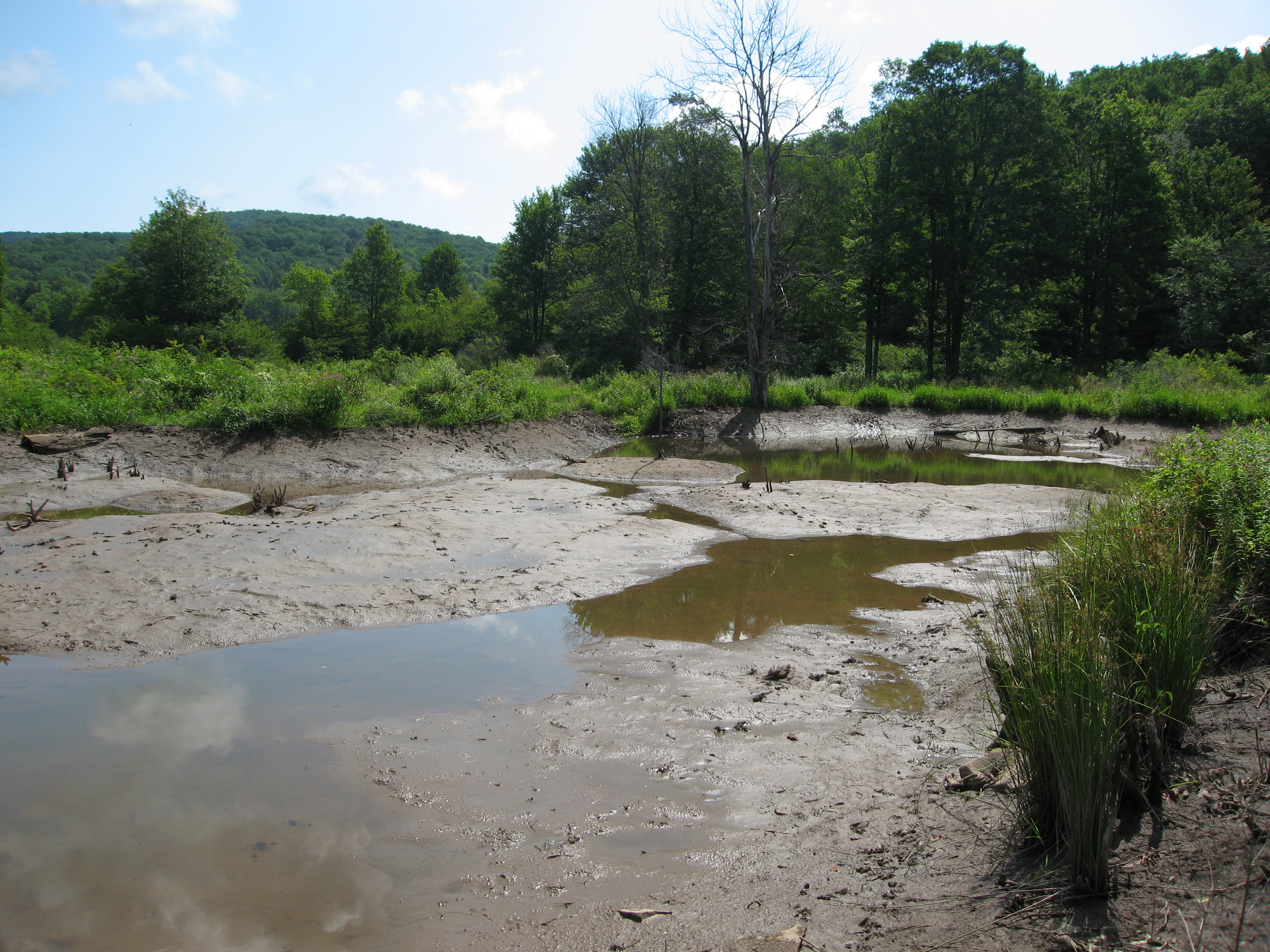 Beaver Pond State Park