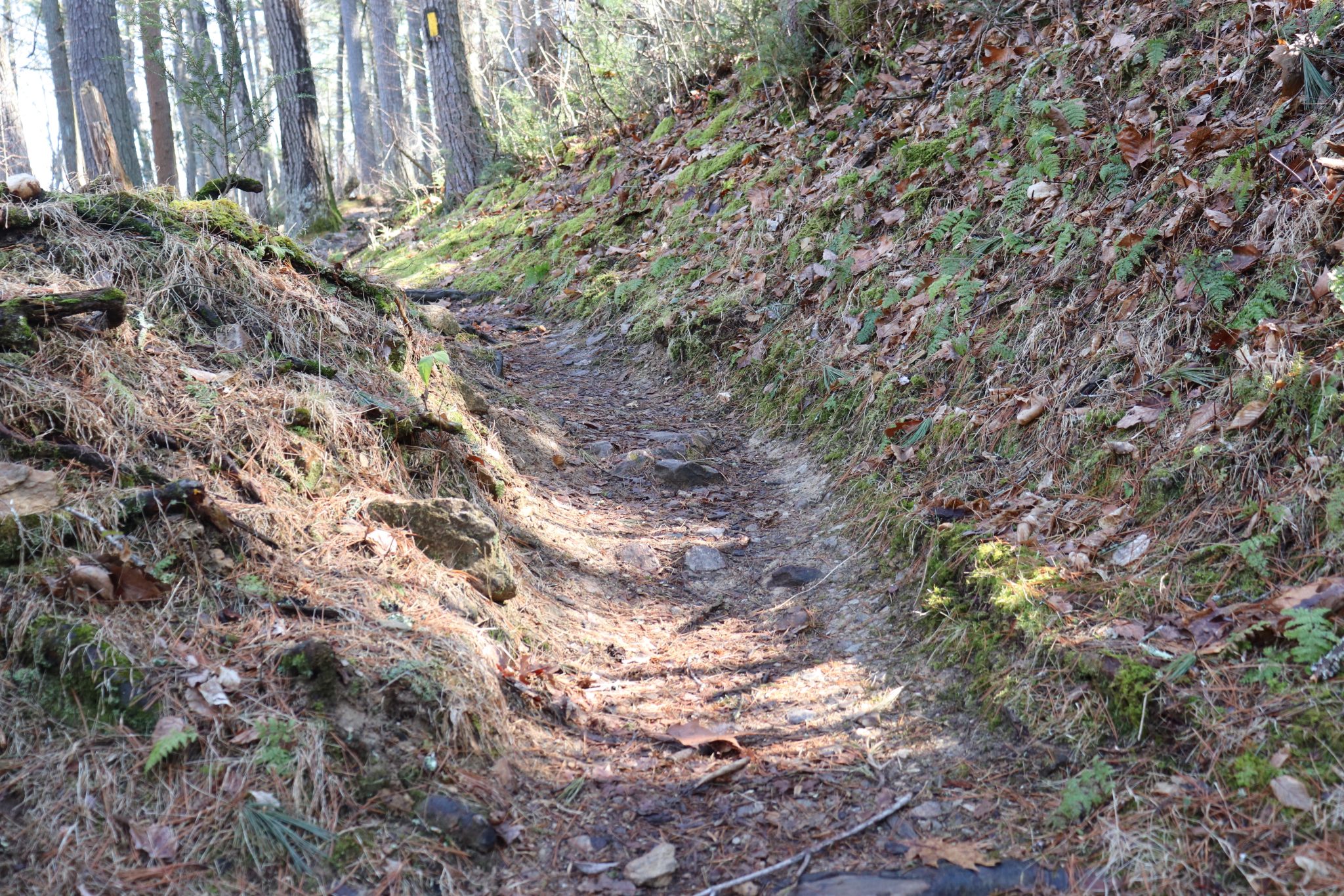 Caledonia State Park