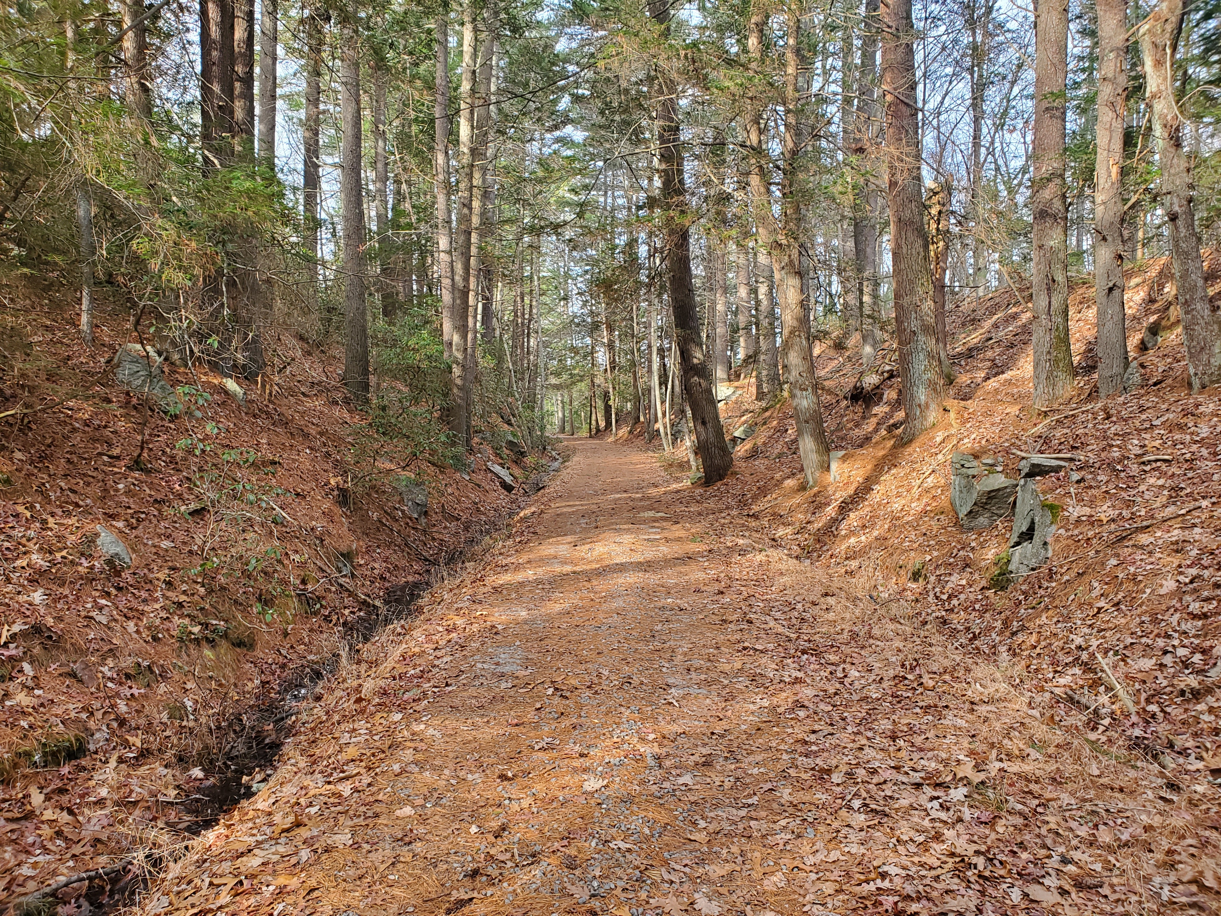 Douglas State Forest