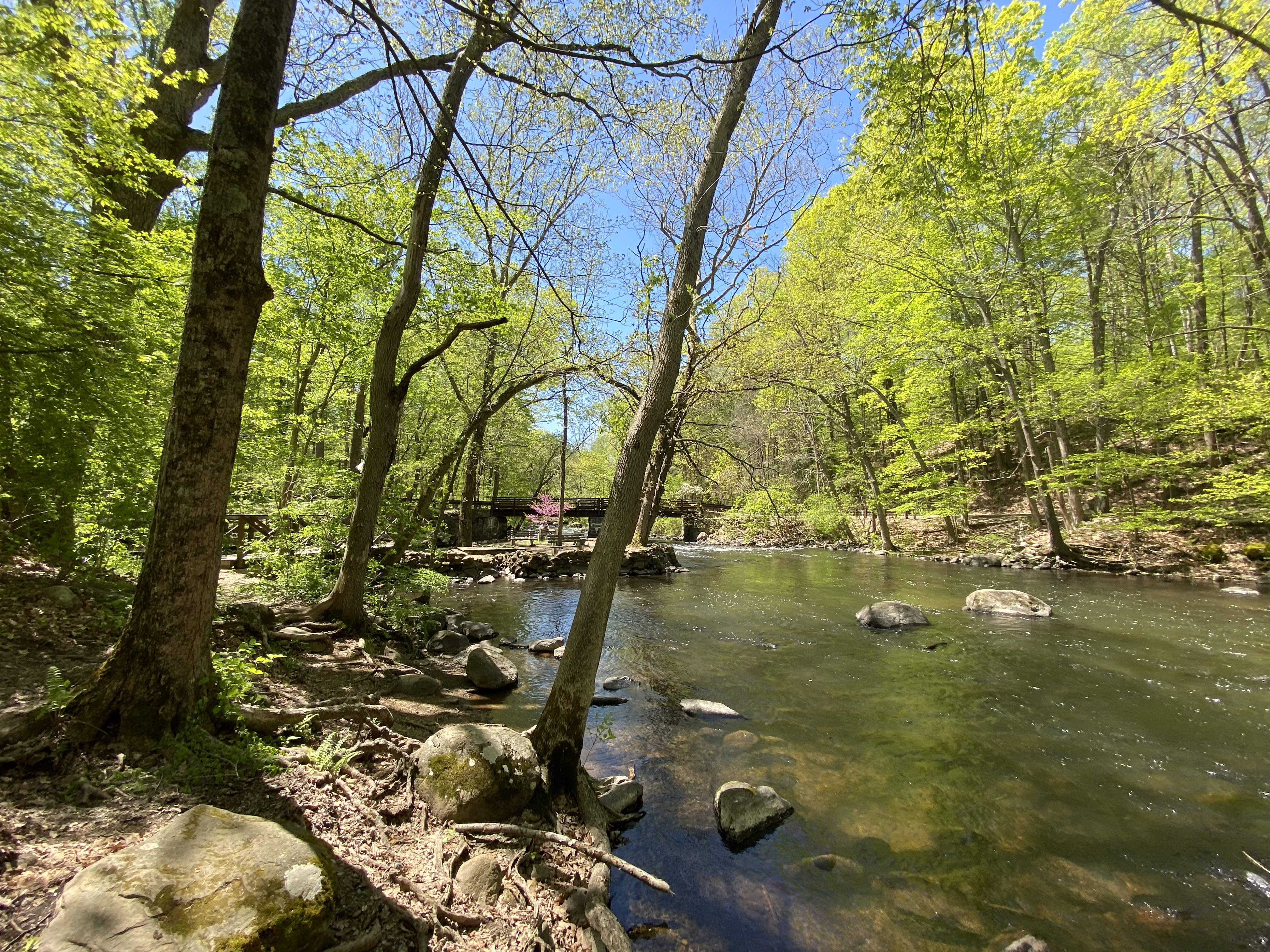 Stephens Campground