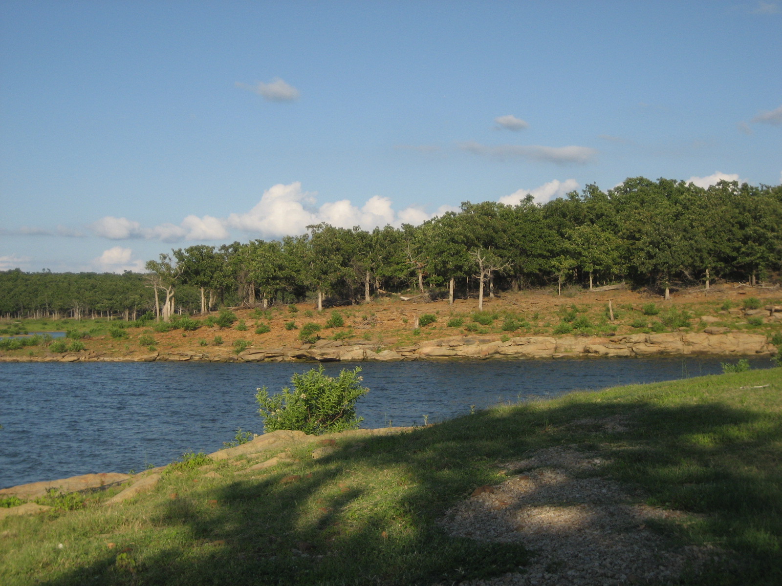 Wikimedia Commons