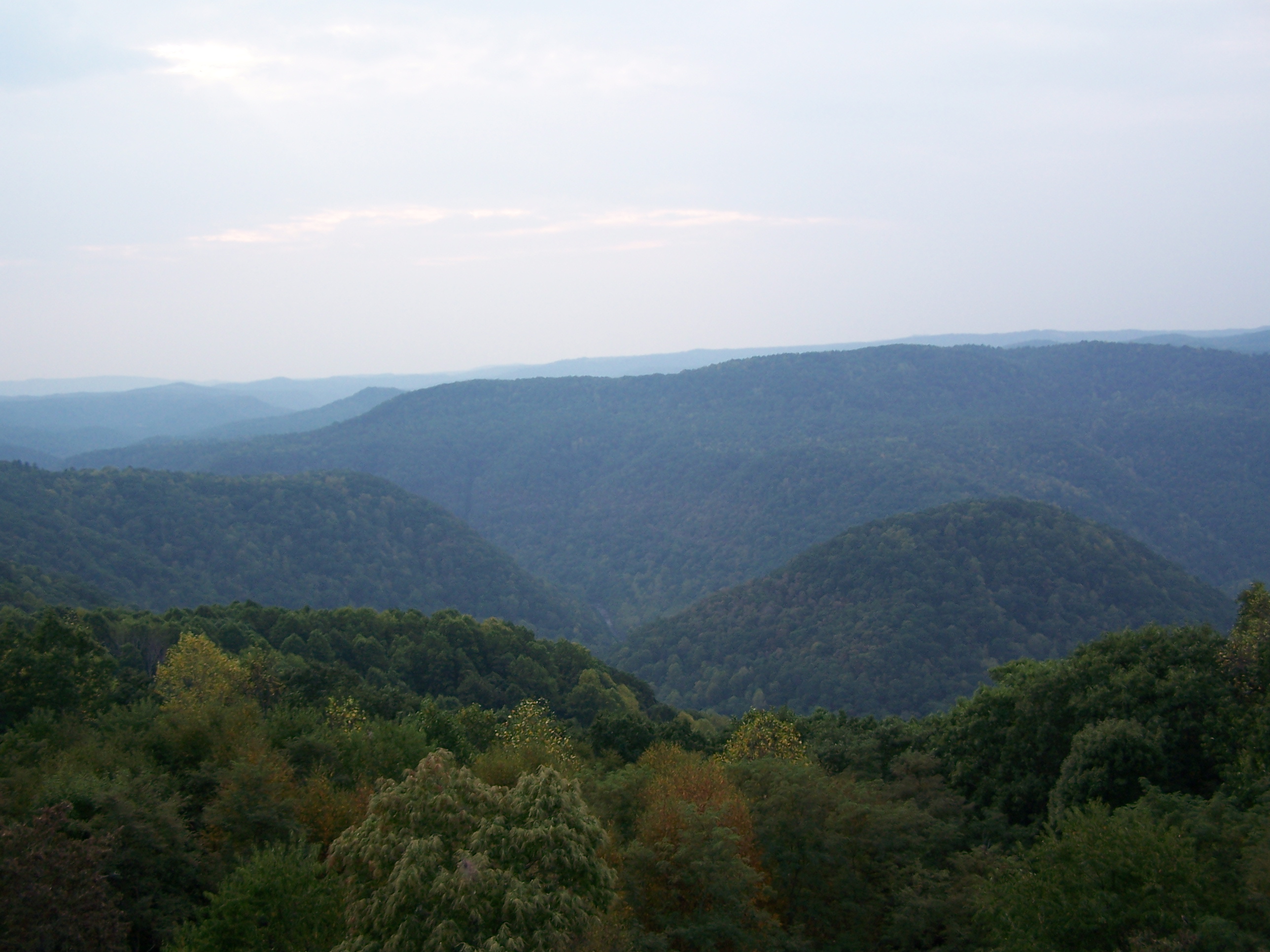 Wikimedia Commons