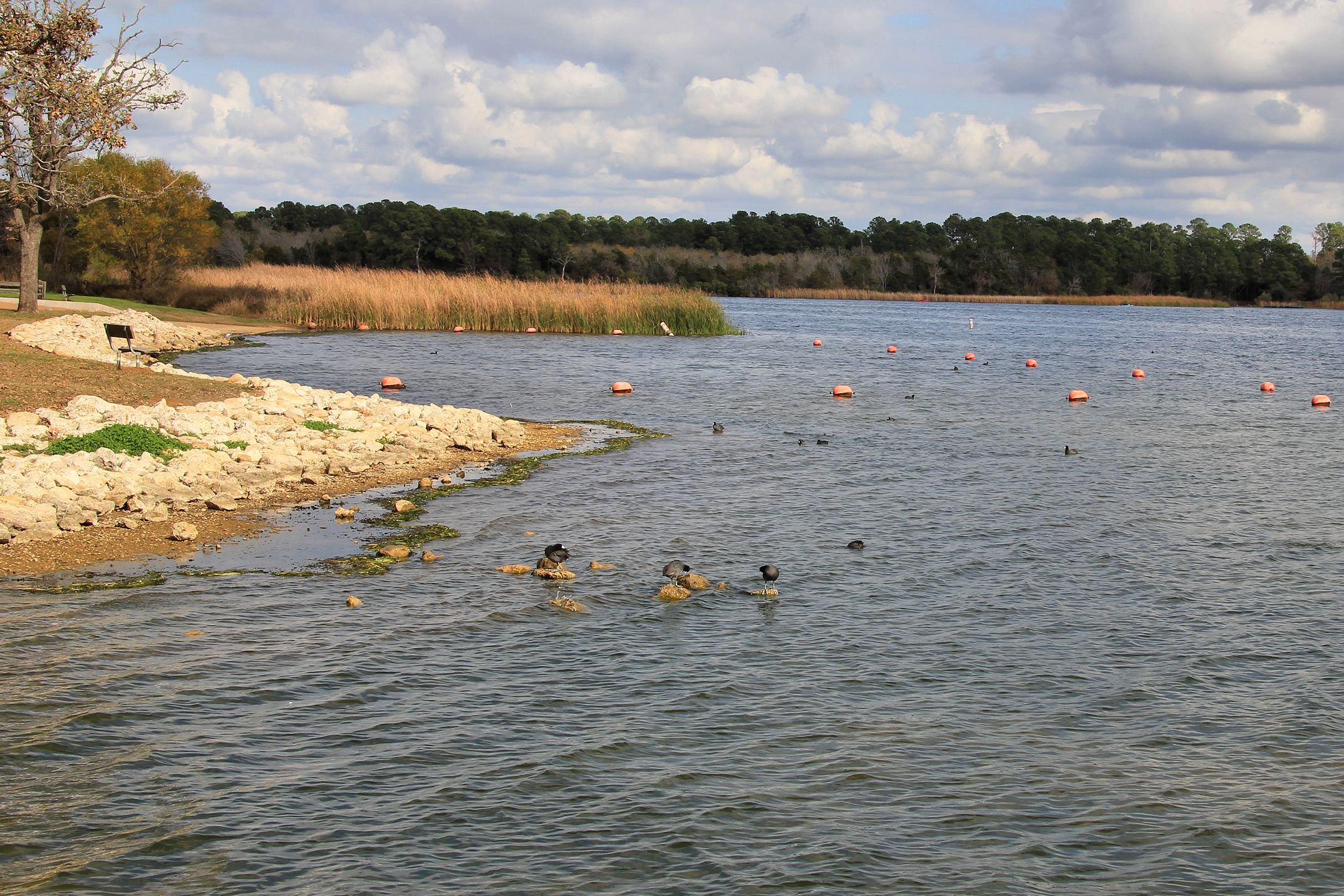 Lake Bastrop North Shore Park