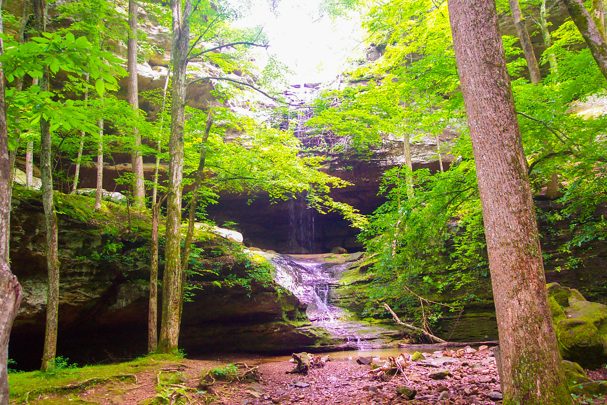 Turkey Ridge Campground - Ferne Clyffe Campground