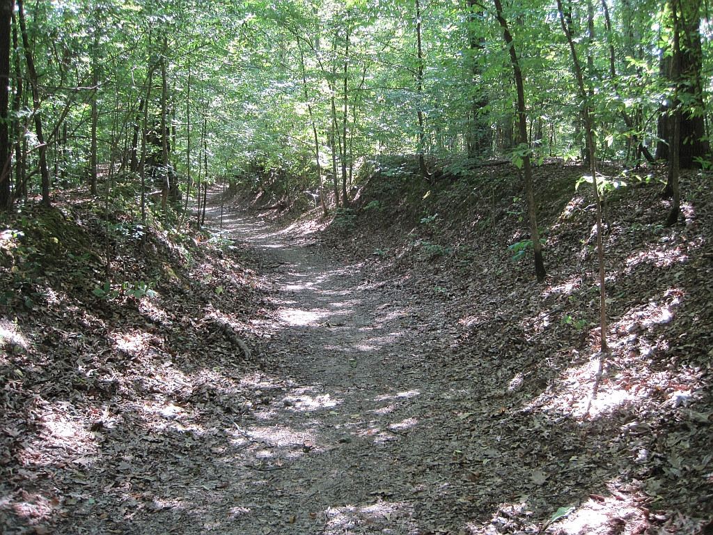 Wikimedia Commons
