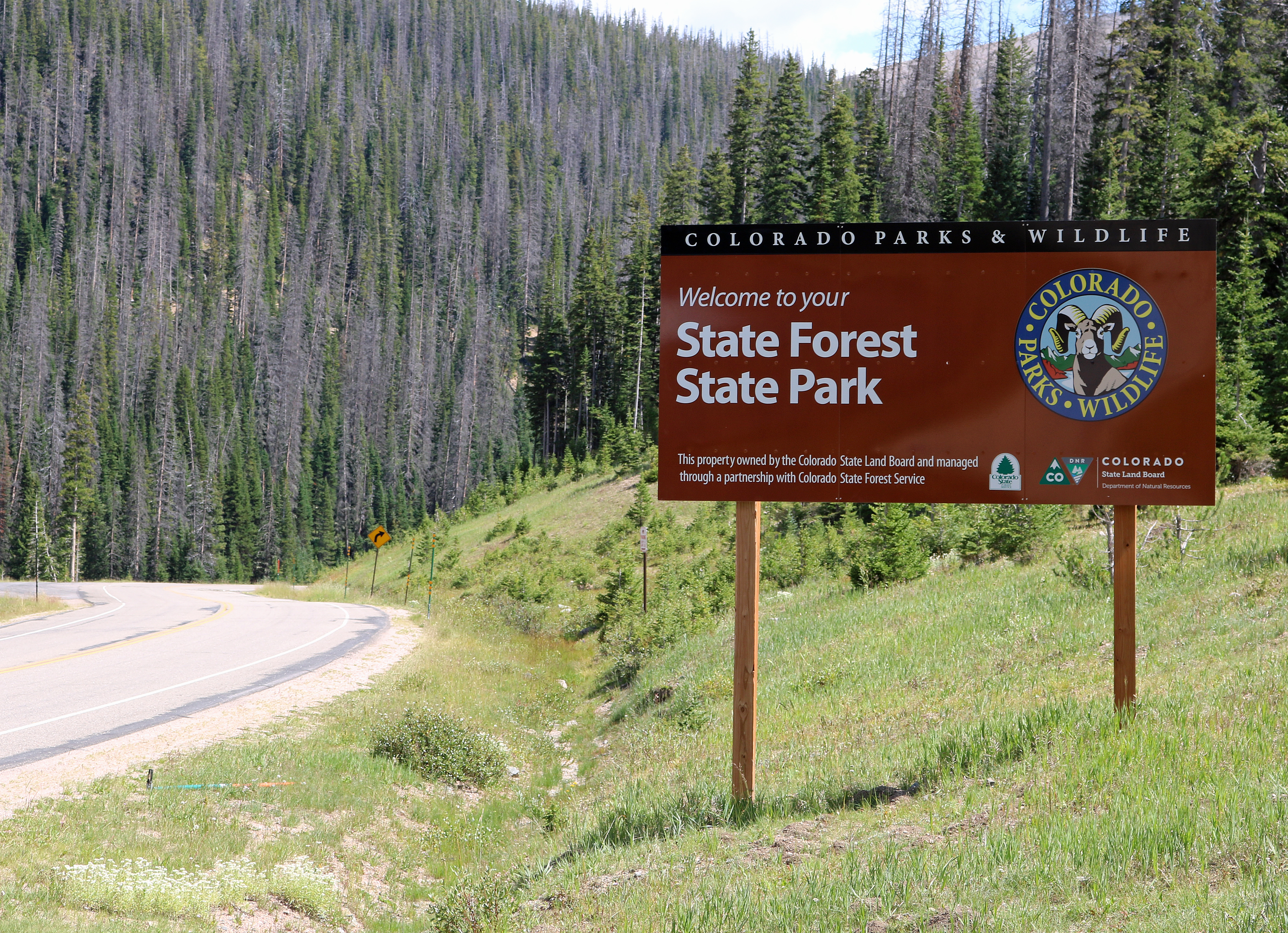 State Forest Campground