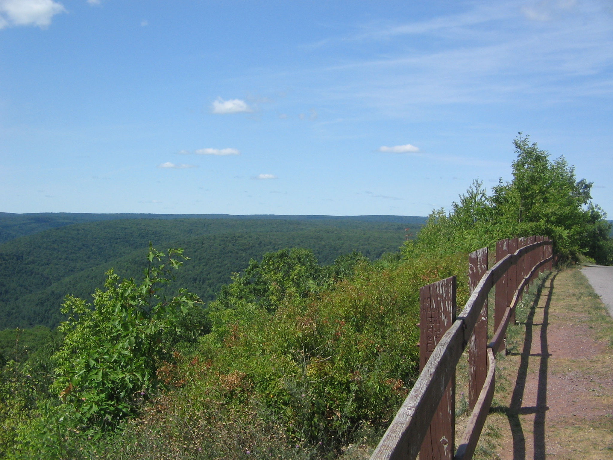 Loyalsock State Forest