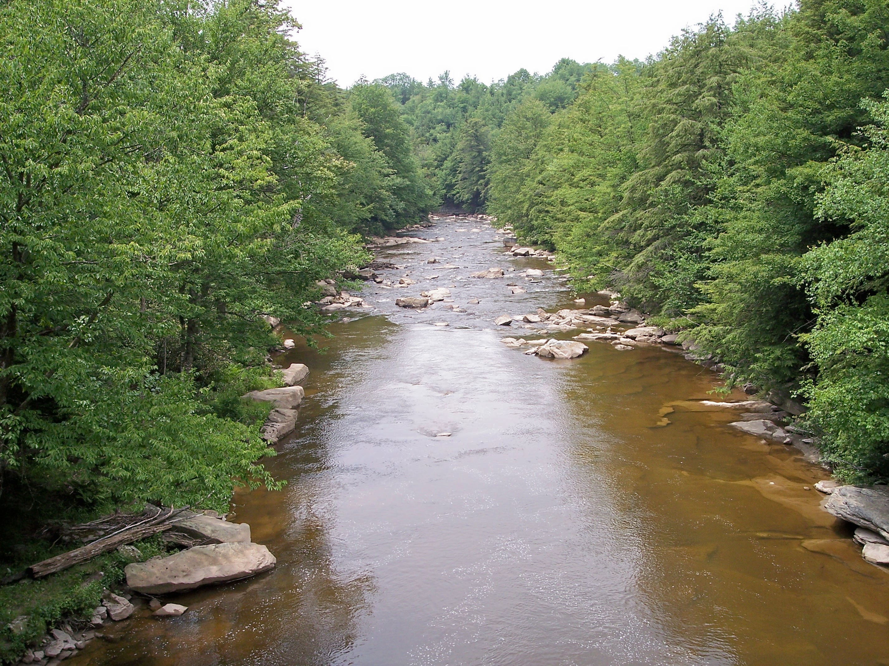 Blackwater Falls Campground