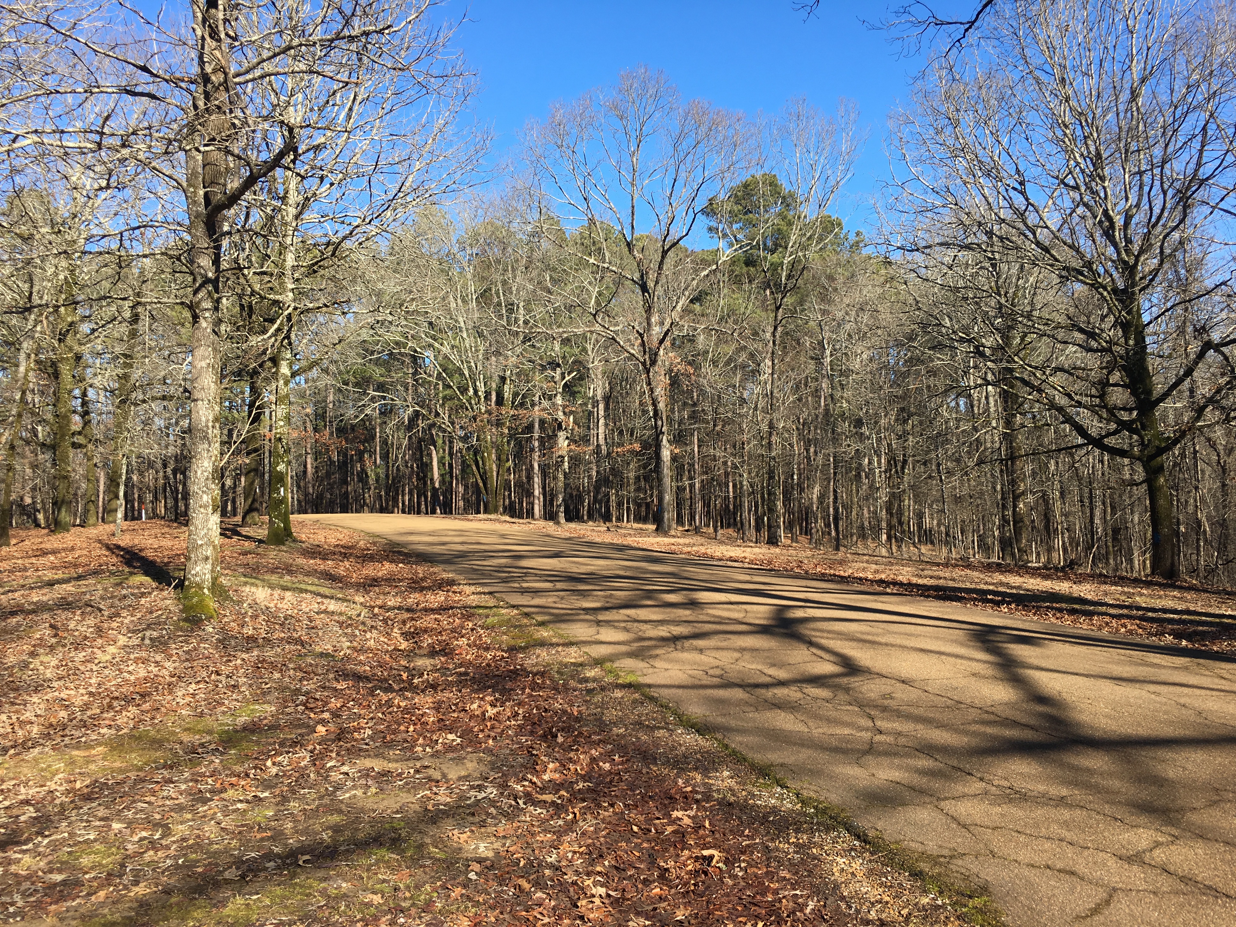 George P Cossar Campground