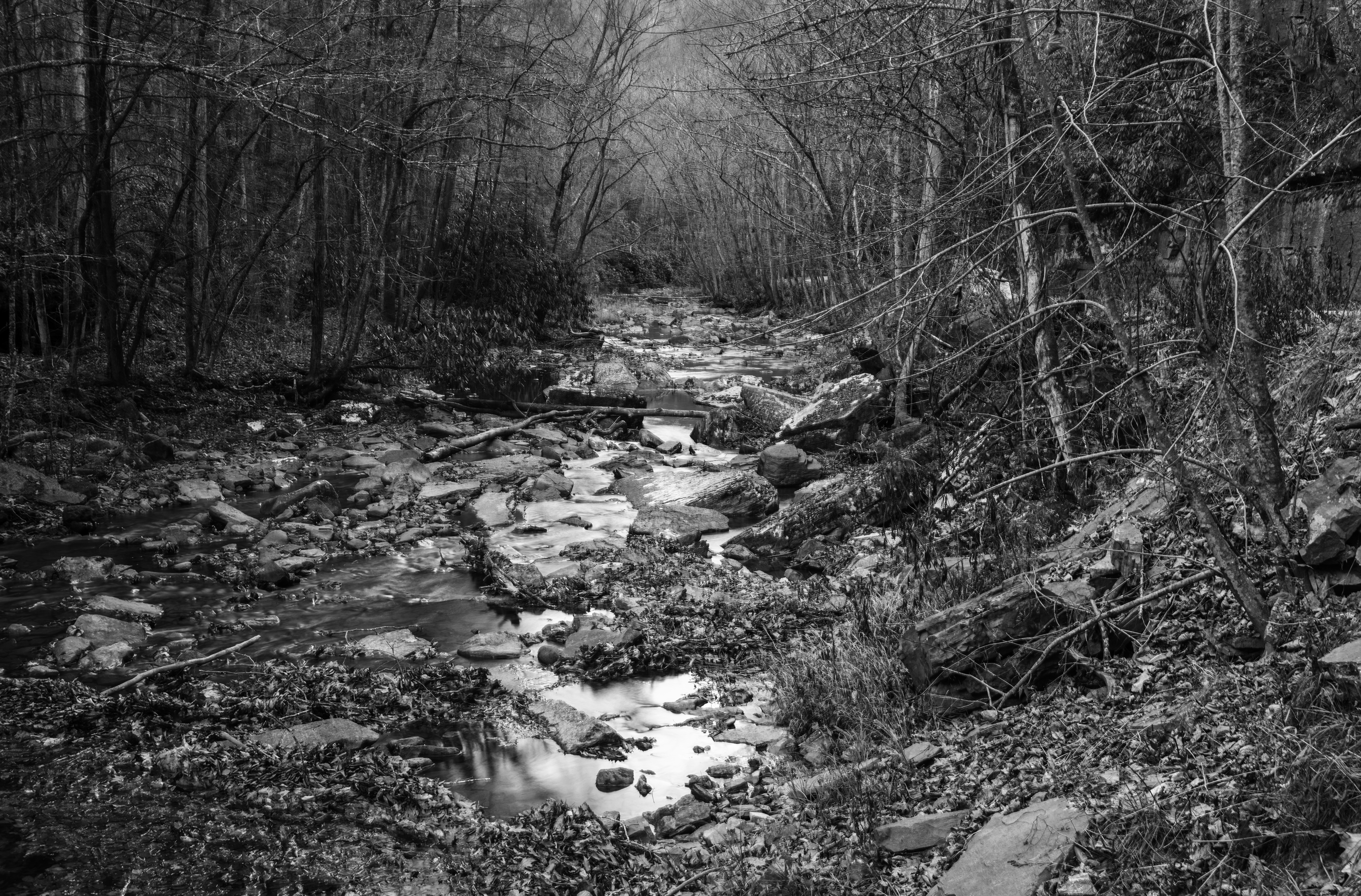 Camp Creek State Park And Forest Campground