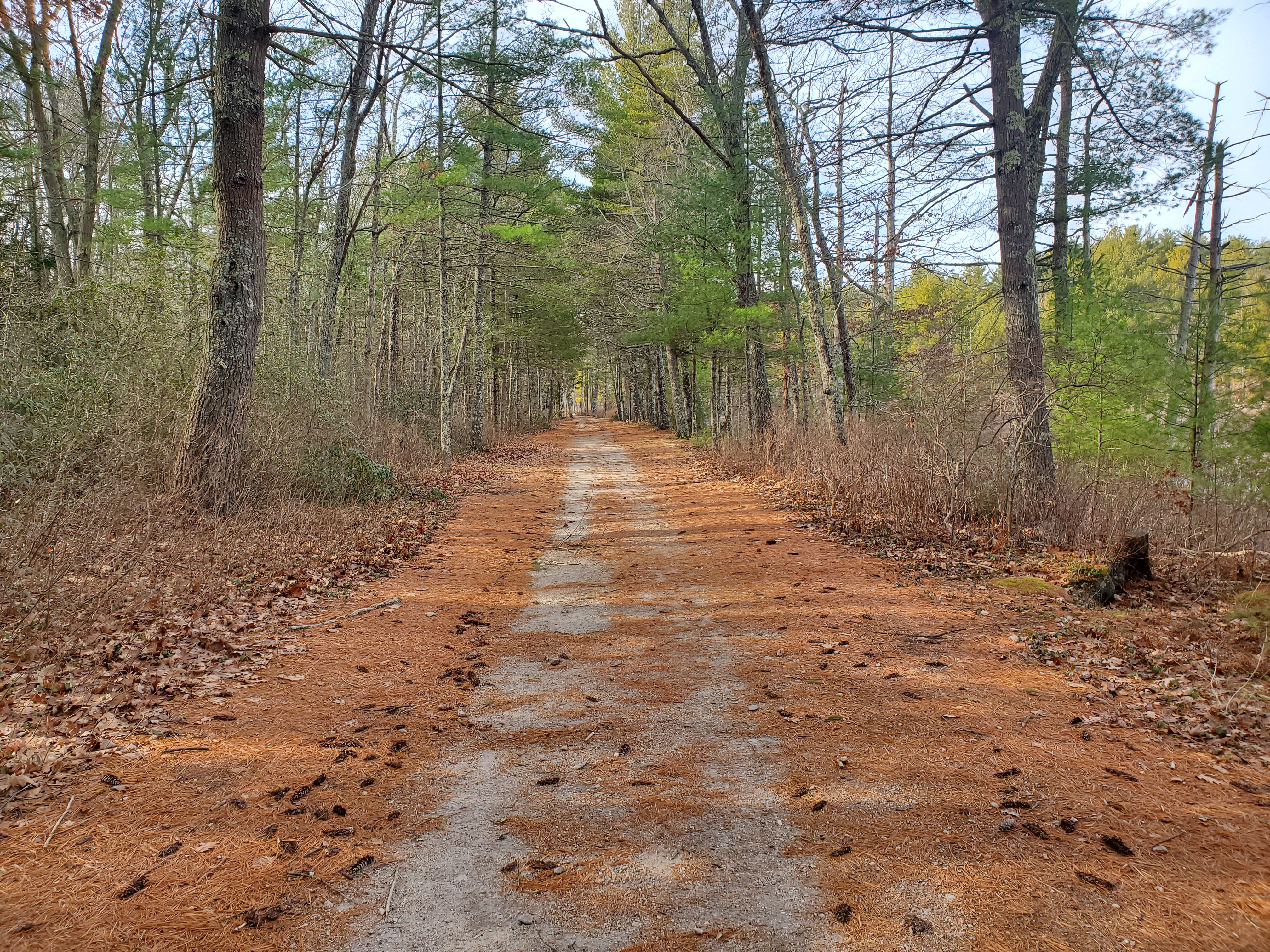 Douglas State Forest