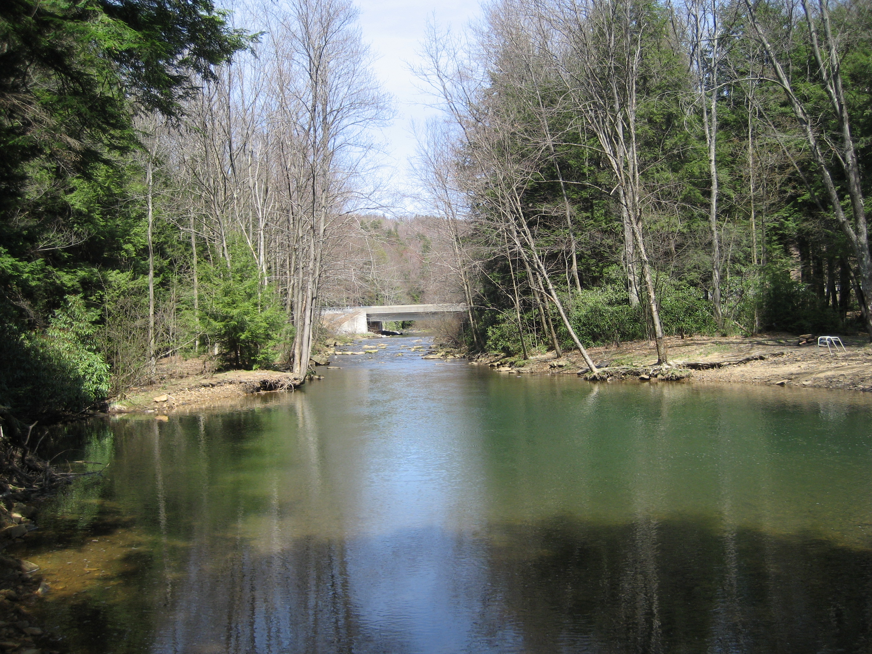 Moshannon State Forest