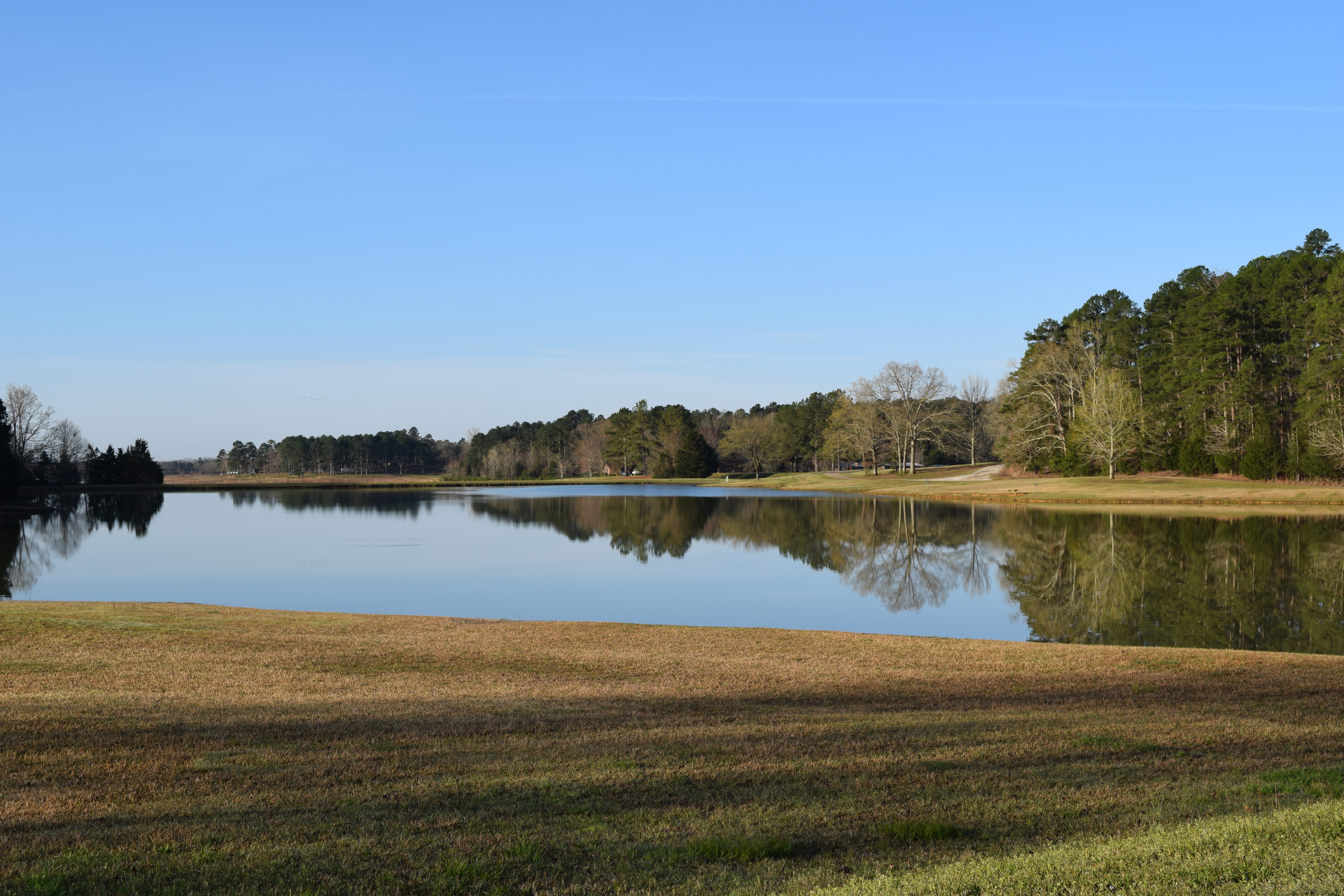 Trace Campground