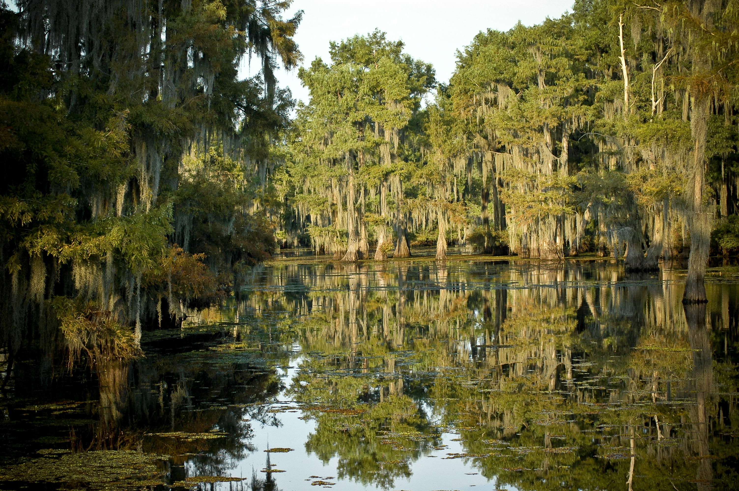 Lake Bistineau Campground