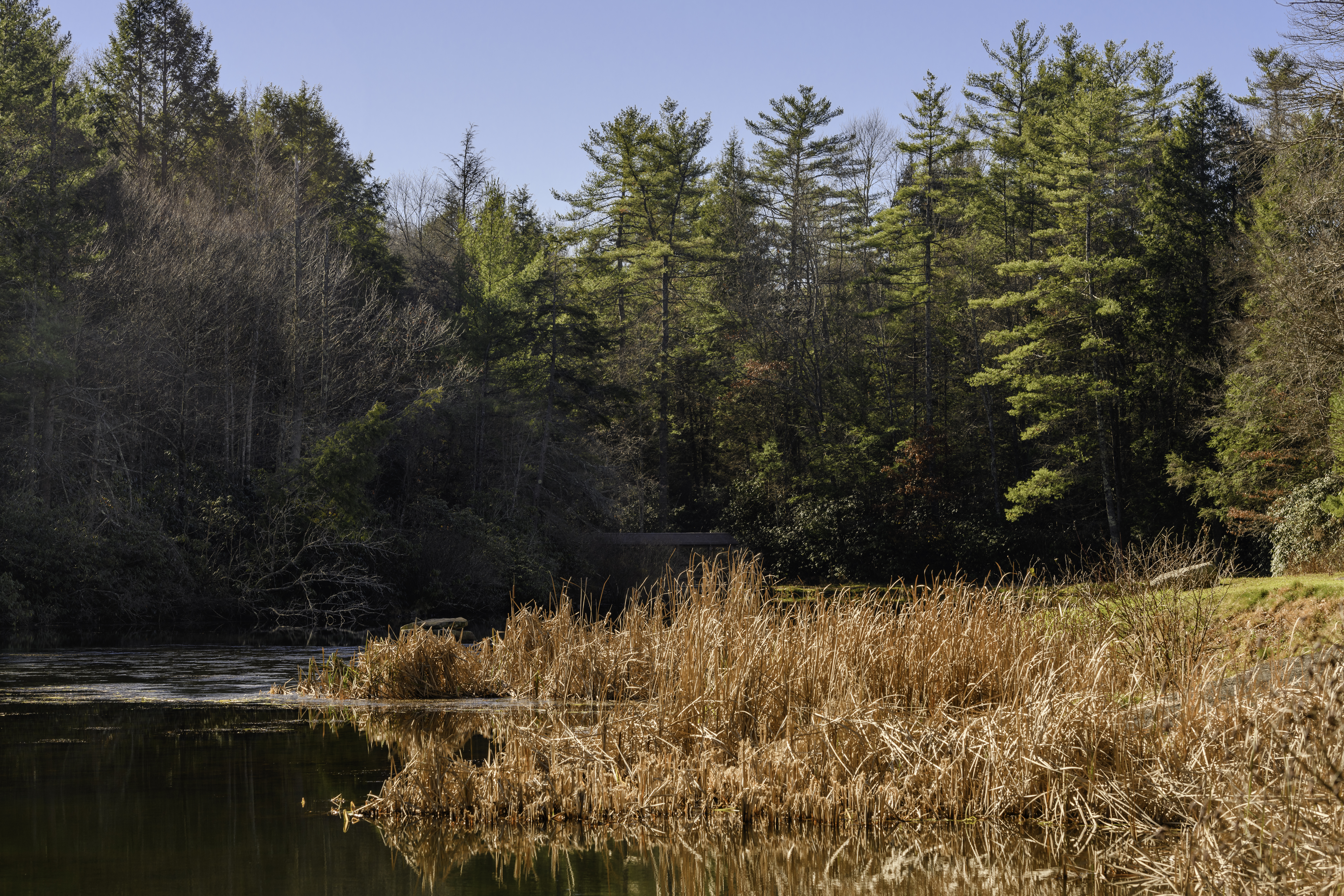 Little Beaver Campground