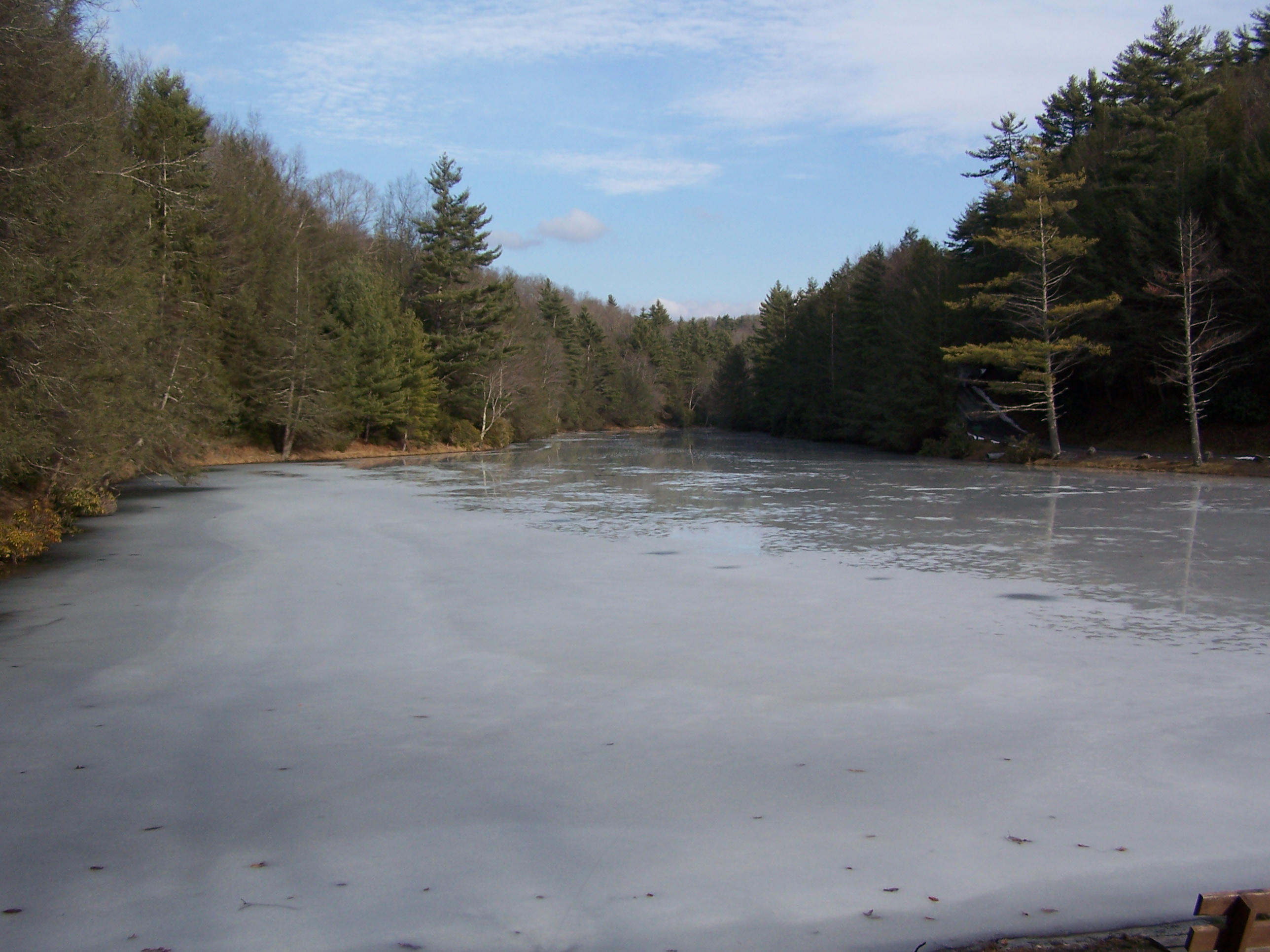 Seneca State Forest Campground