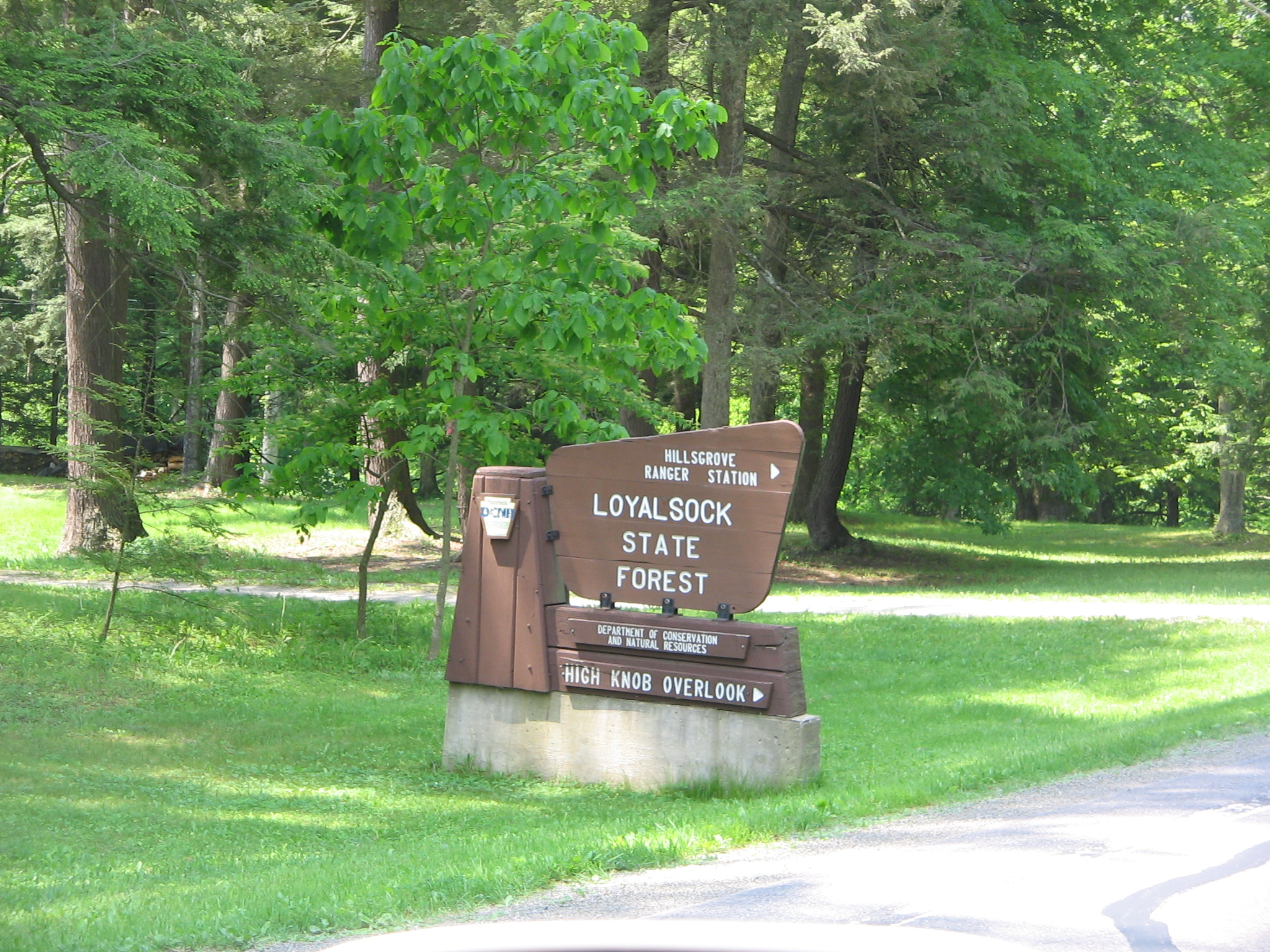 Loyalsock State Forest