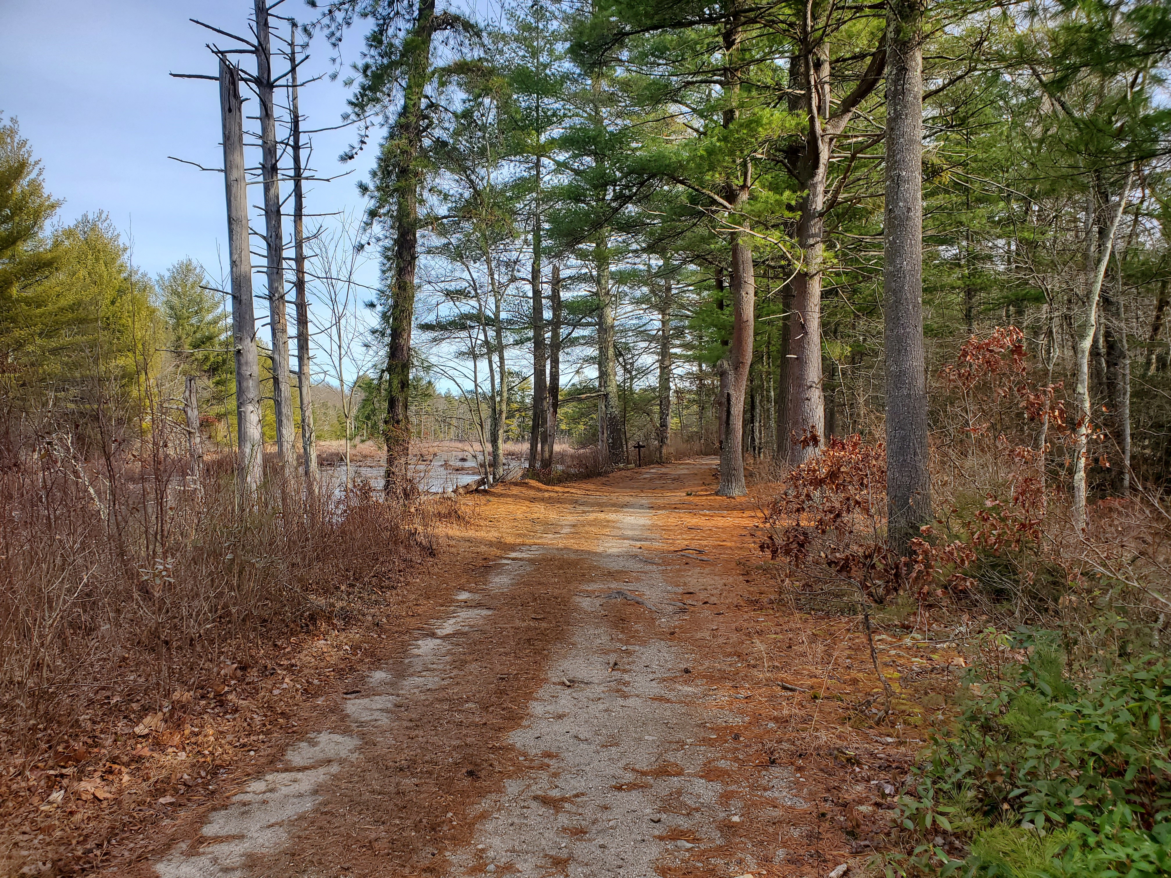 Douglas State Forest