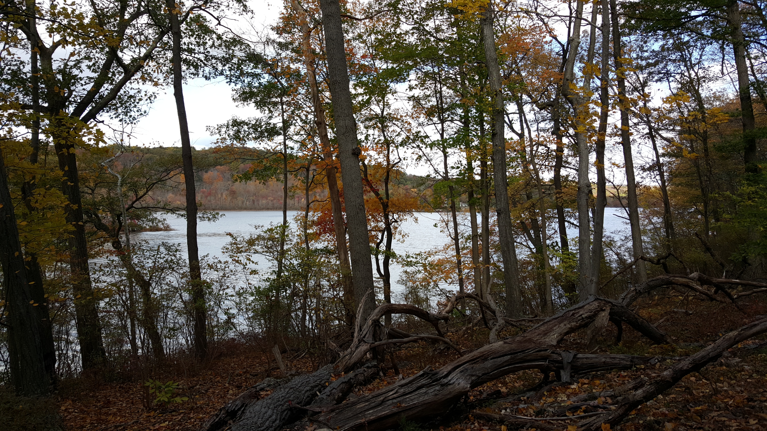 Swartswood Campground