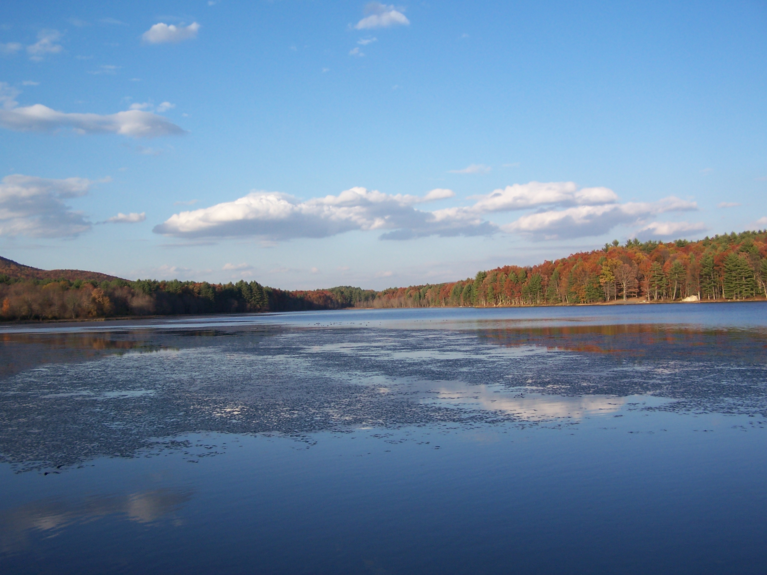 Moncove Campground At Moncove Lake Campground