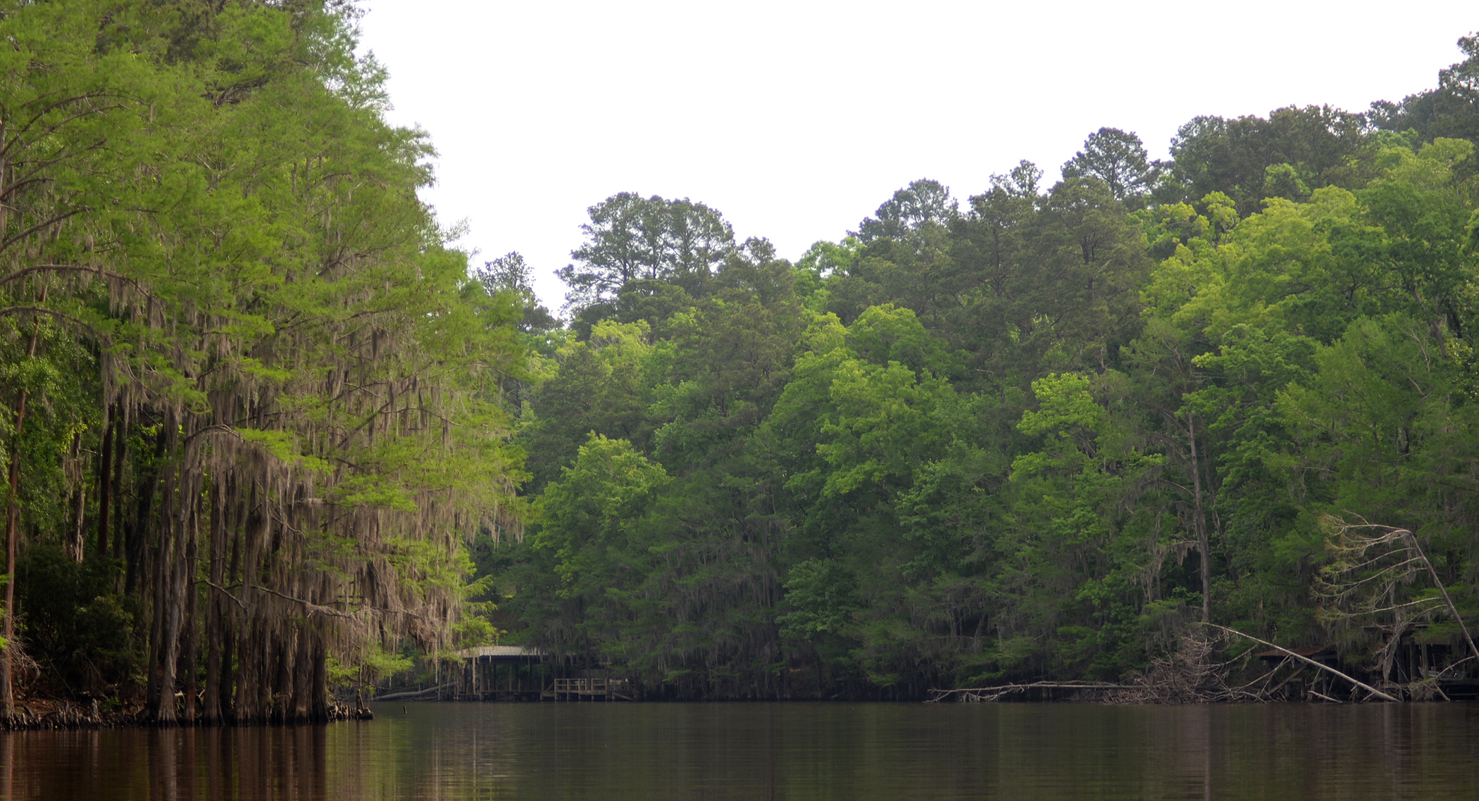 Caddo Lake State Park