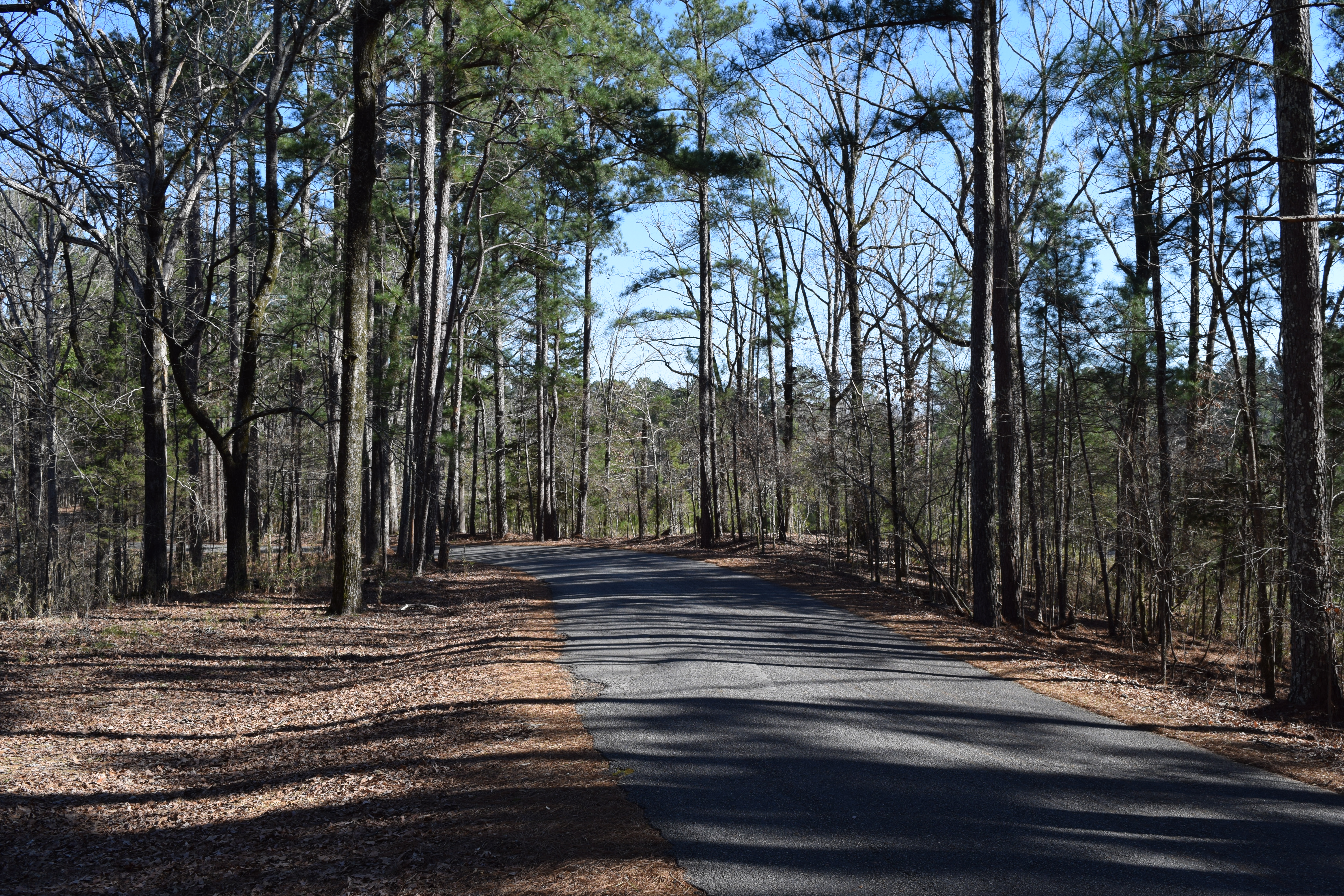 Hugh White Campground
