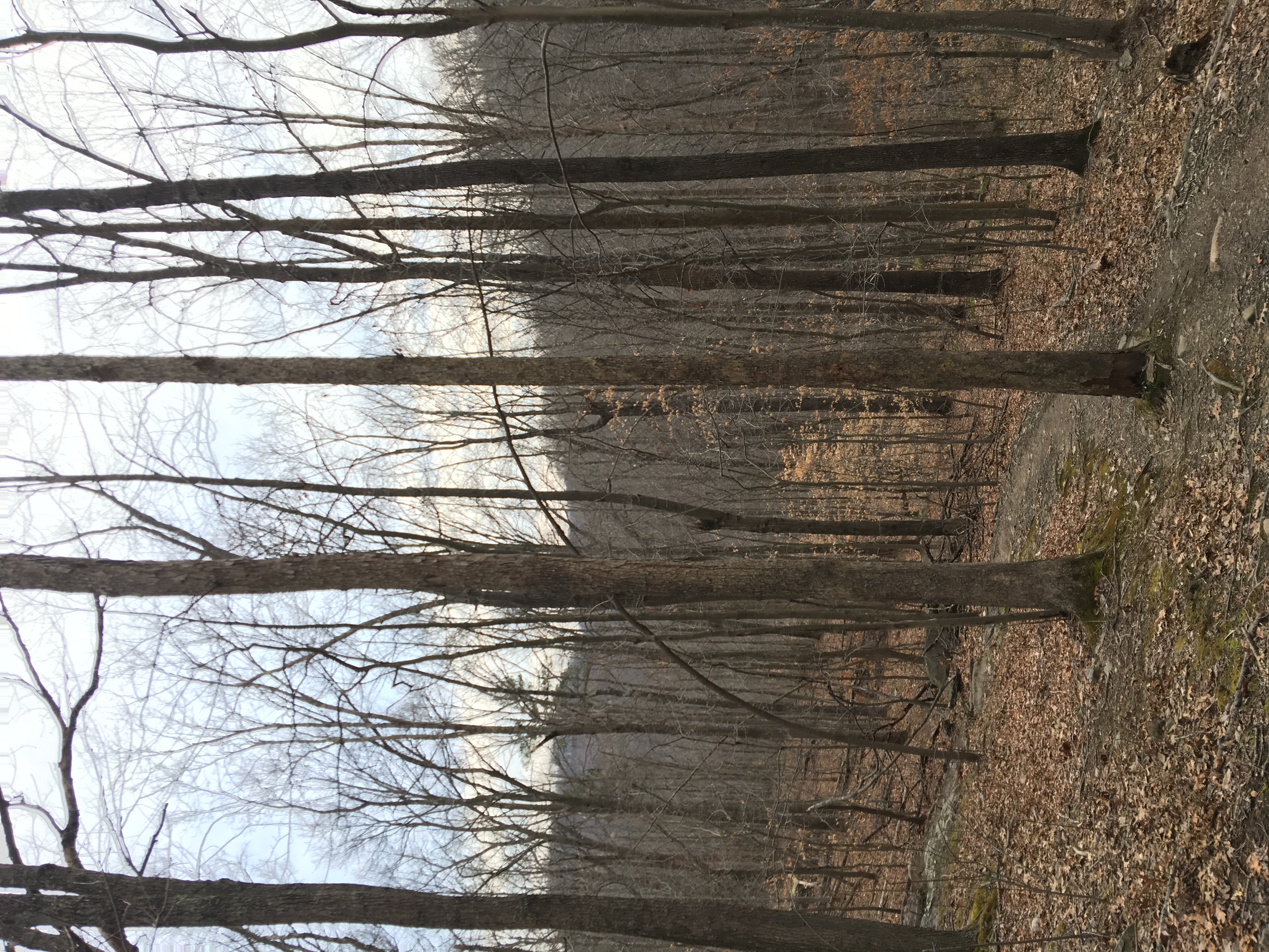 Kanawha State Forest Campground Entrance Campground
