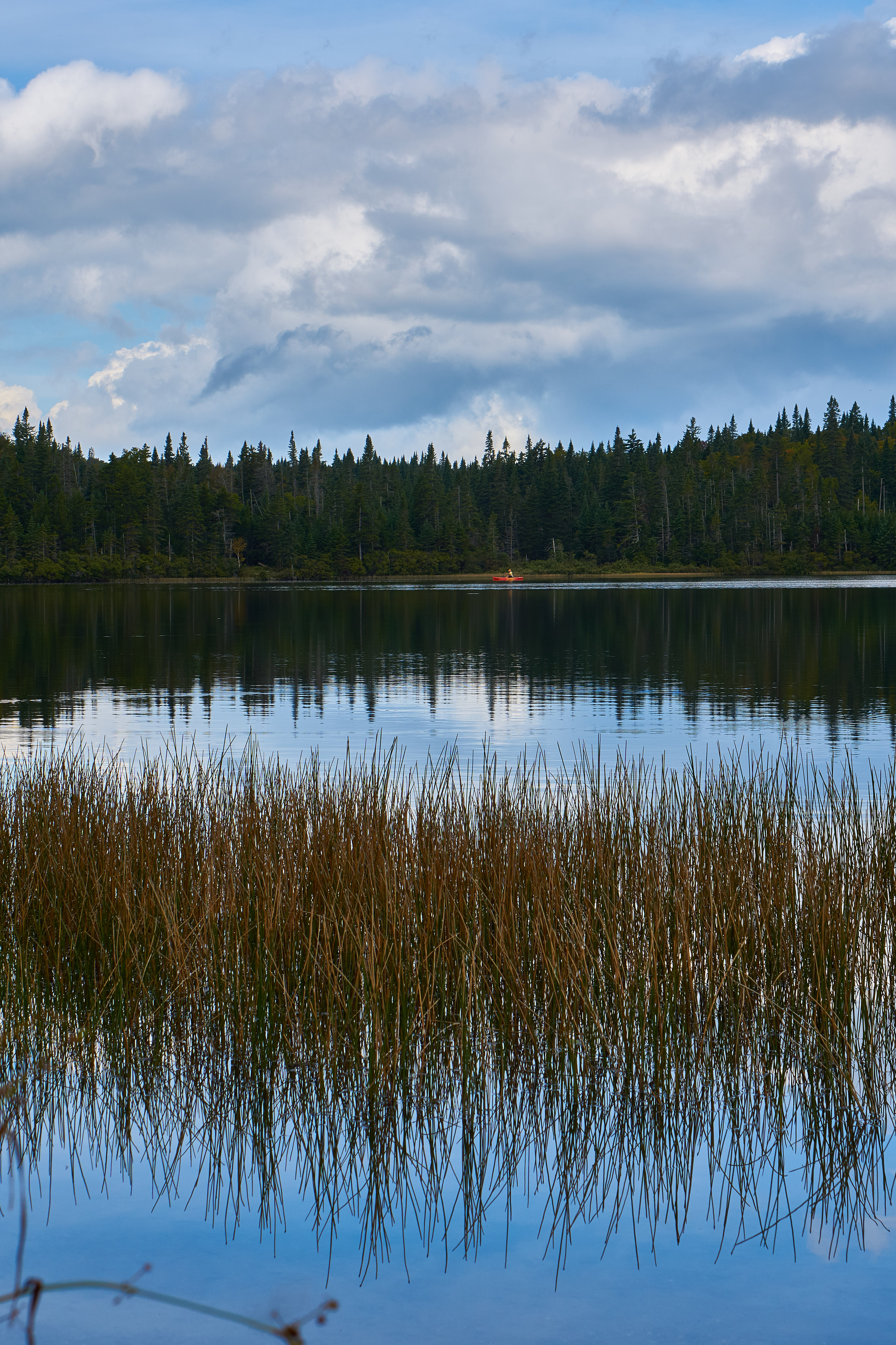 Coleman State Park