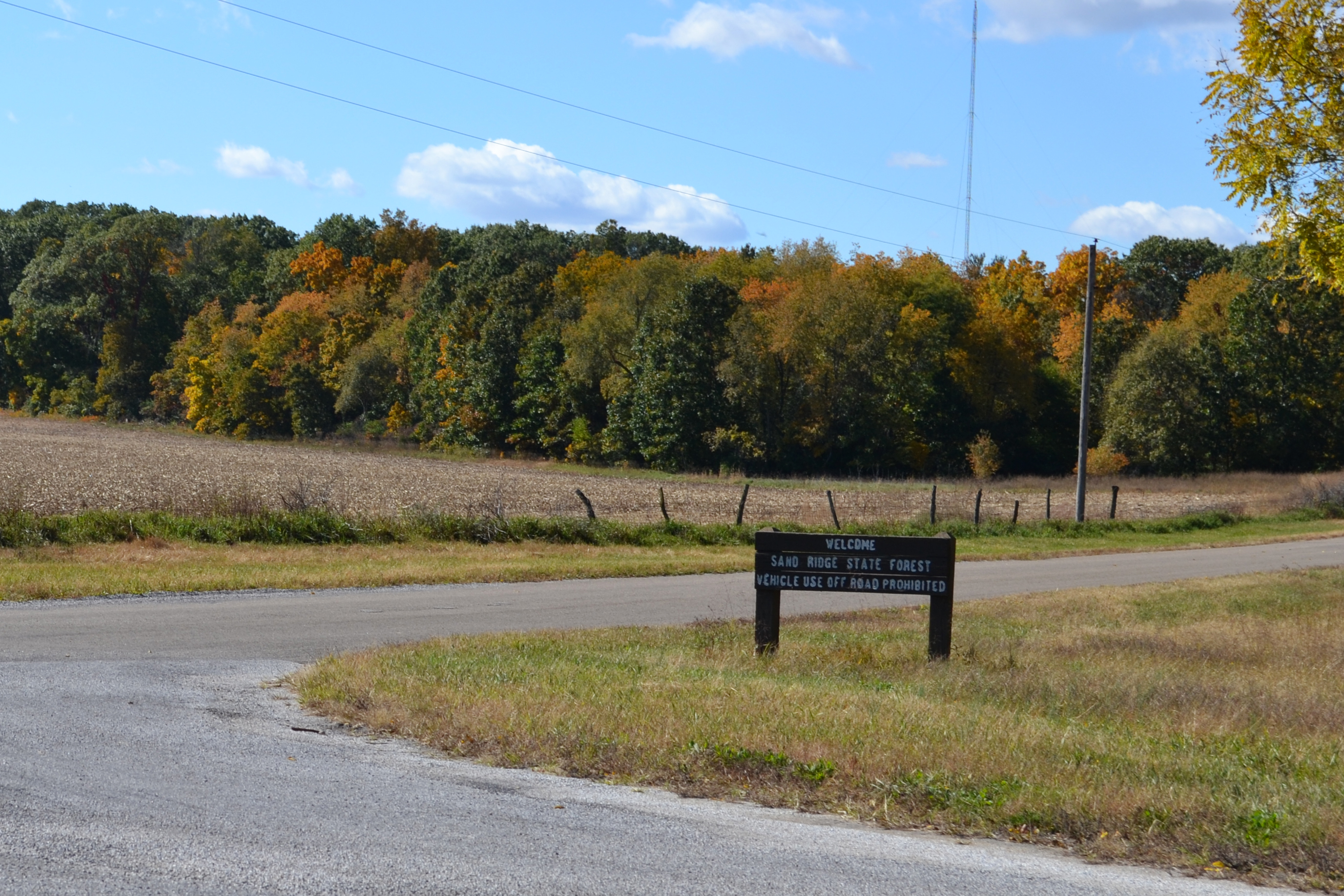 Sand Ridge State Forest Campground