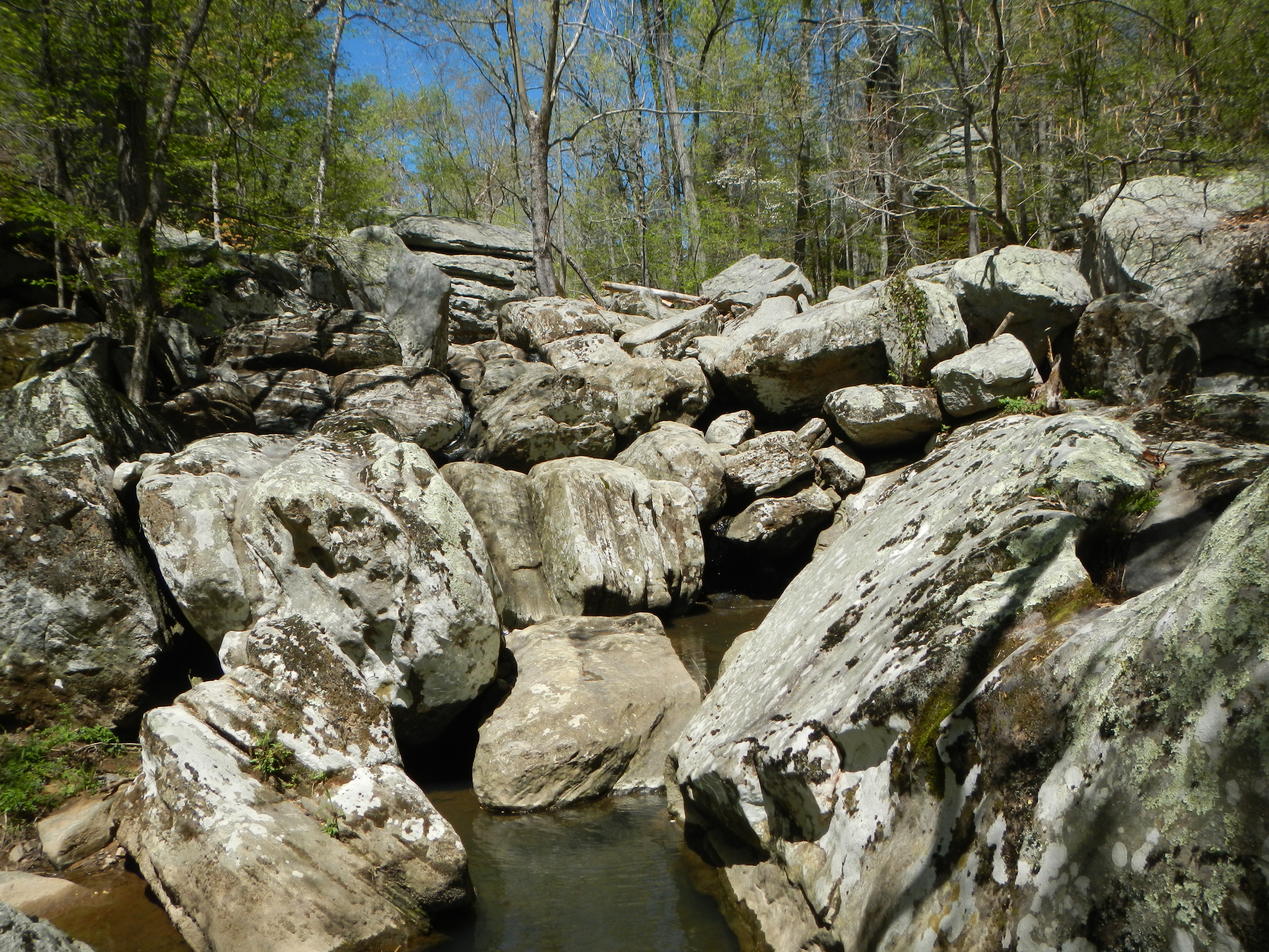 Dixon Springs Campground