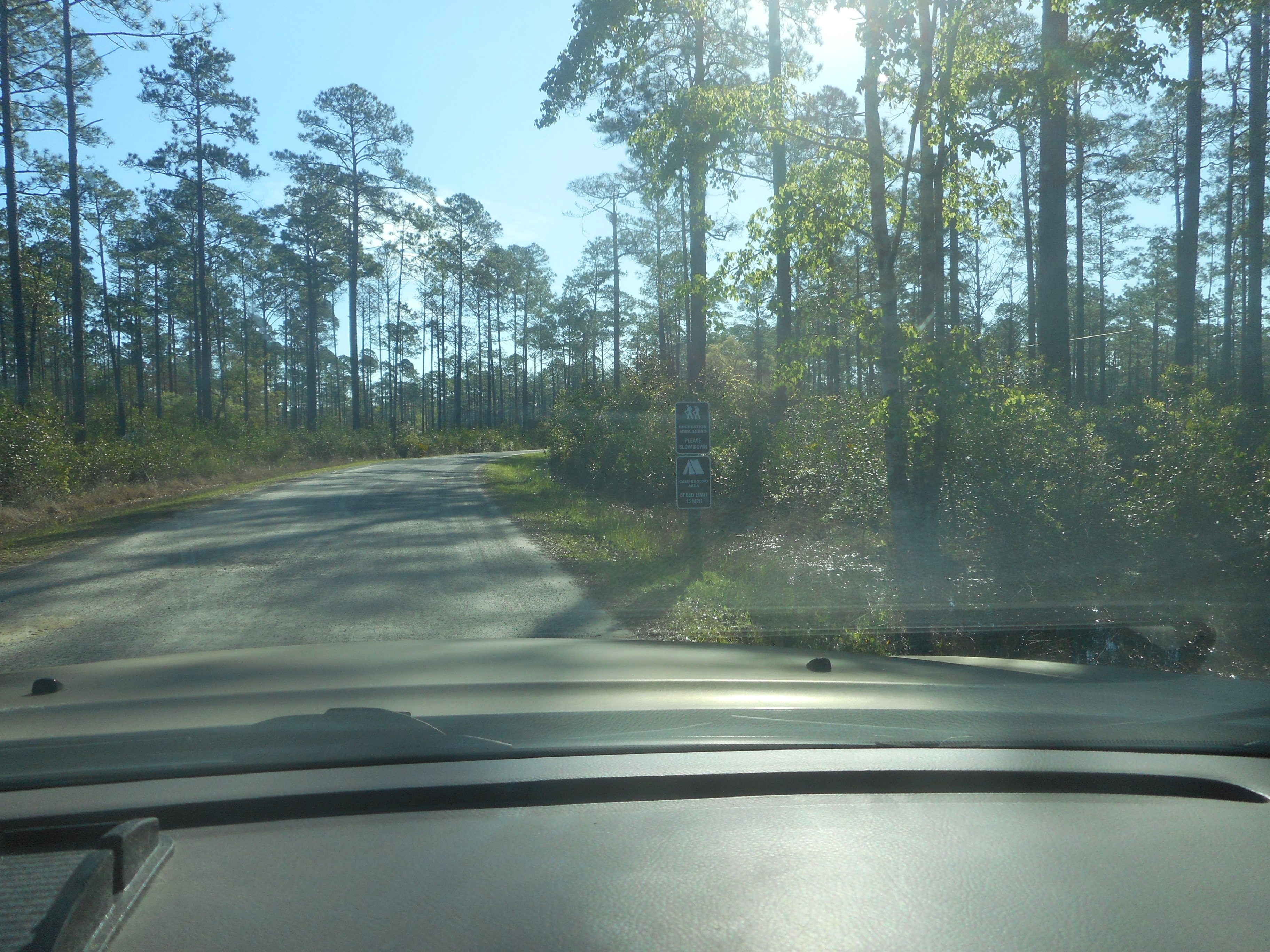 Cary State Forest Campground