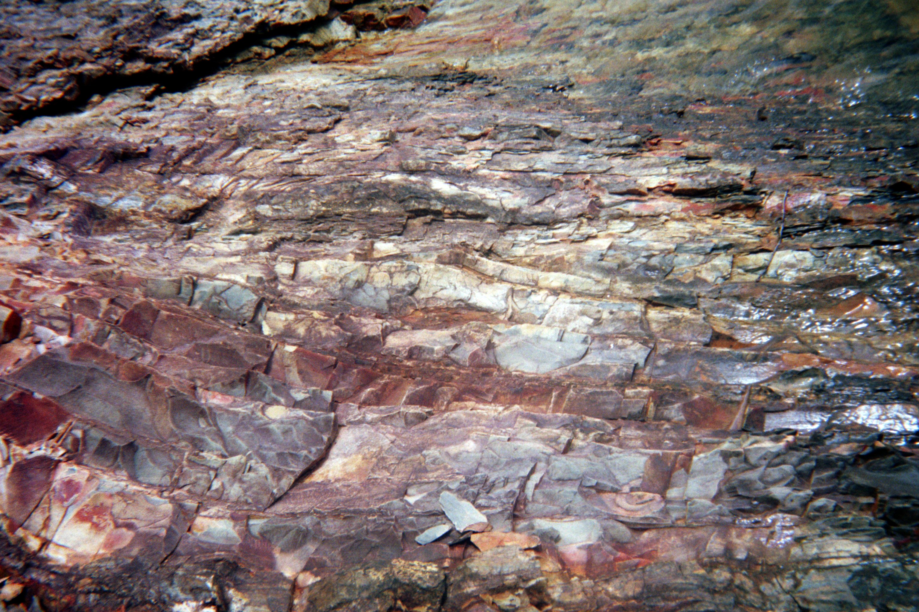 Wikimedia Commons