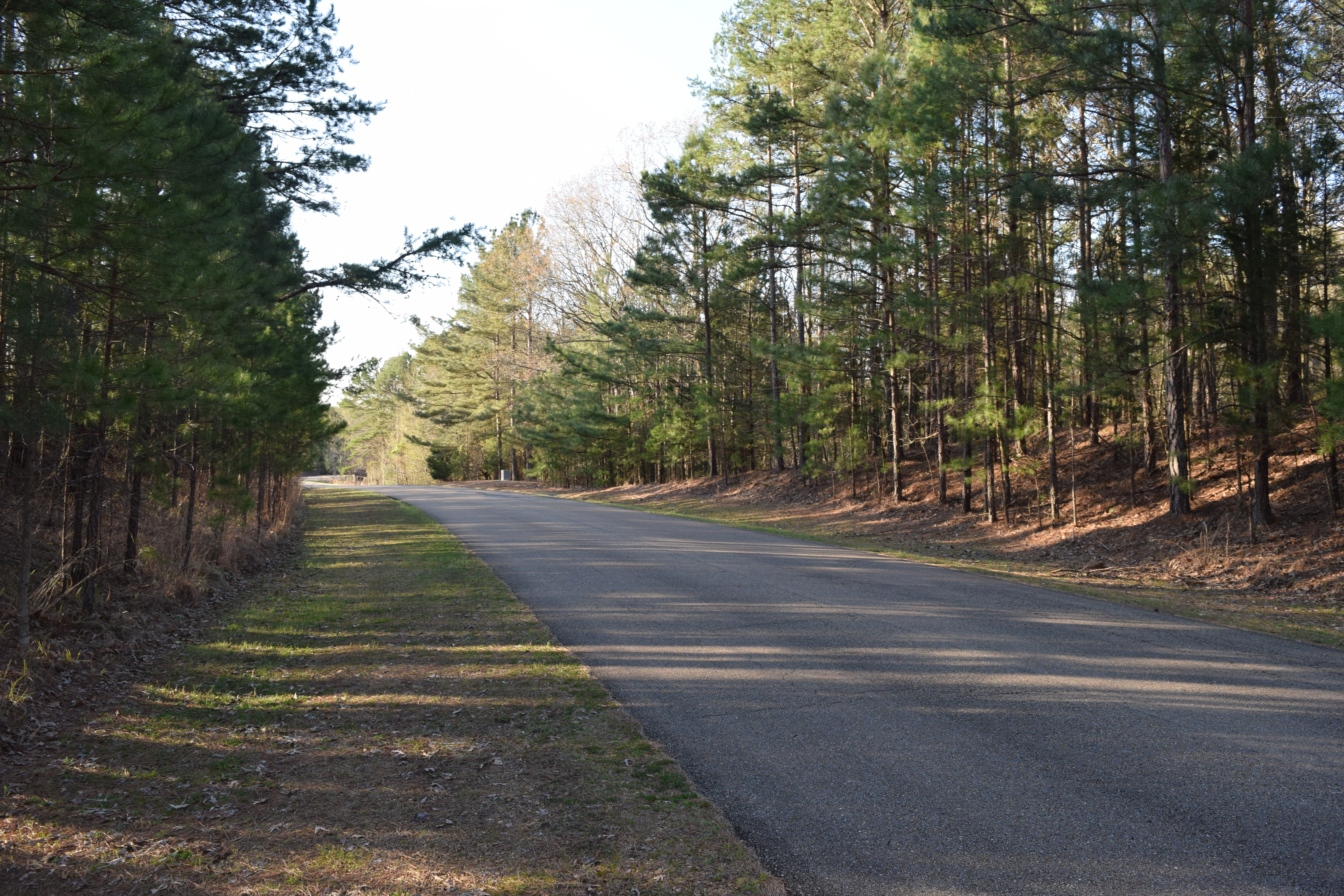 Trace Campground