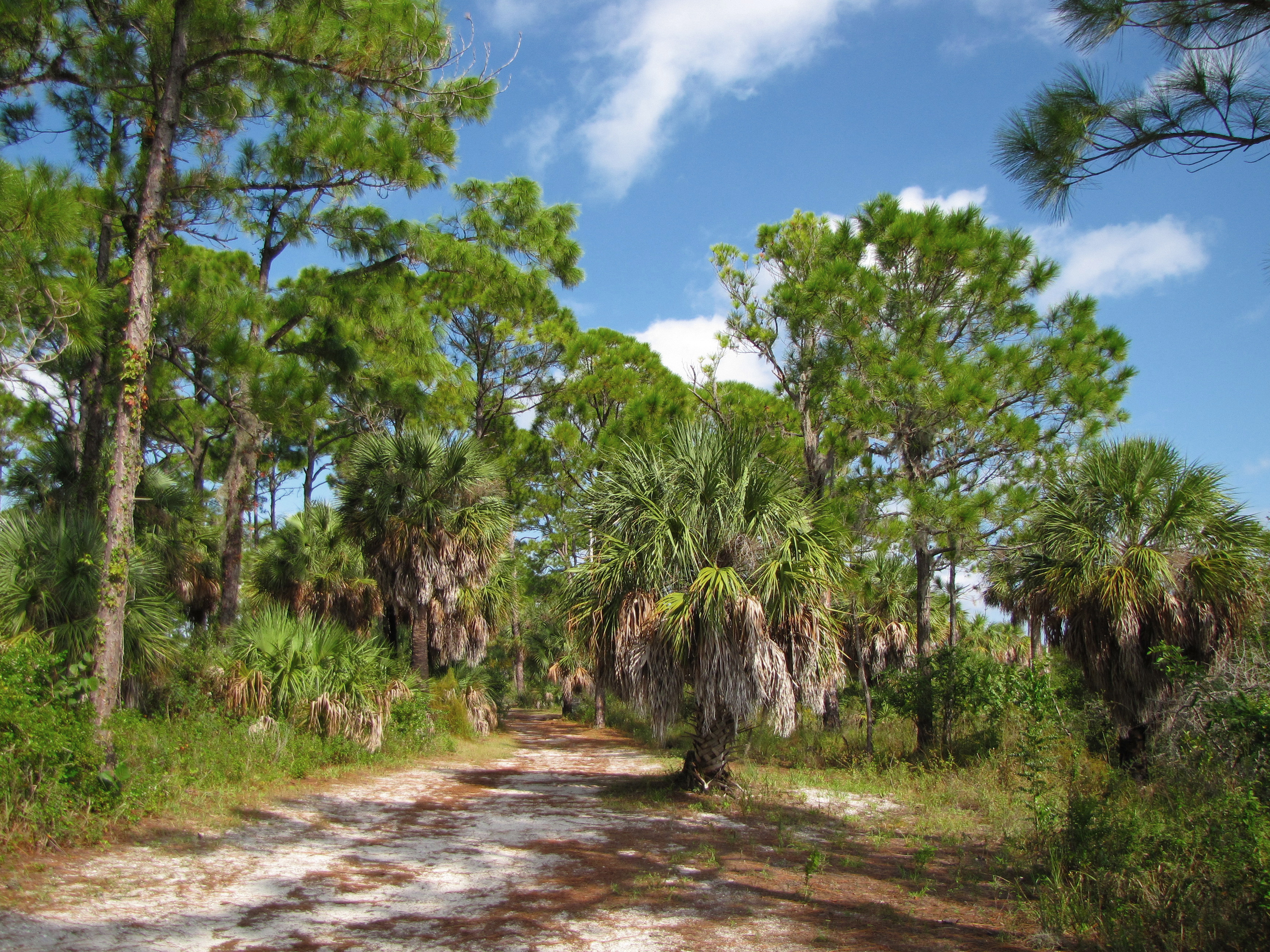 Palmetto Island Campground