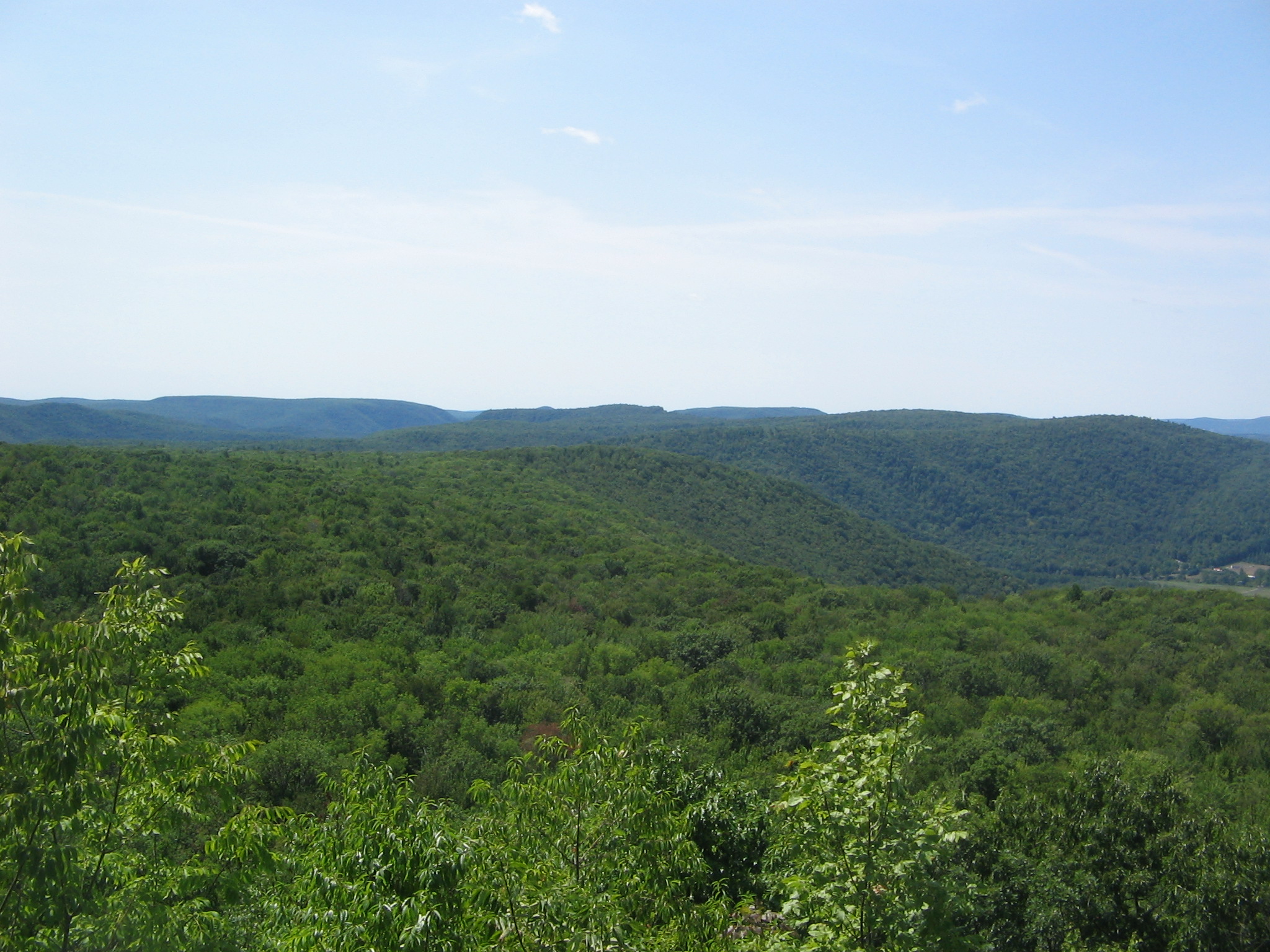 Loyalsock State Forest